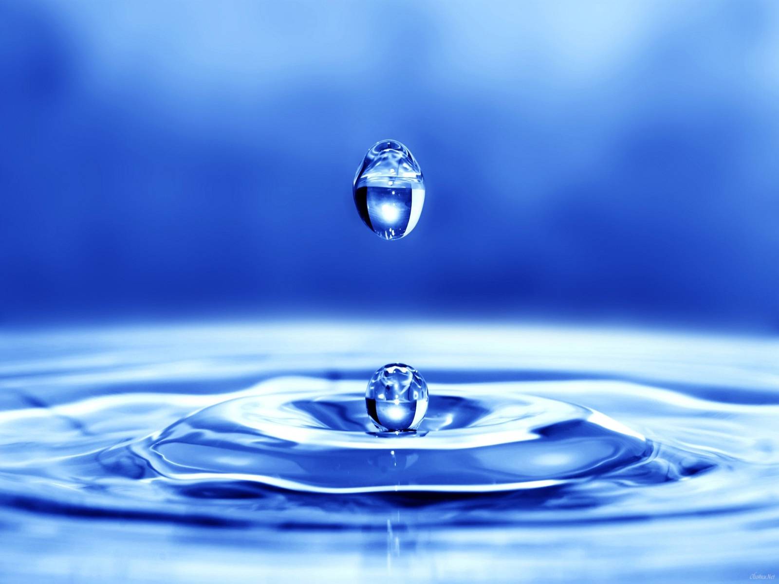 Презентація на тему «Вода — джерело існування людства» - Слайд #18