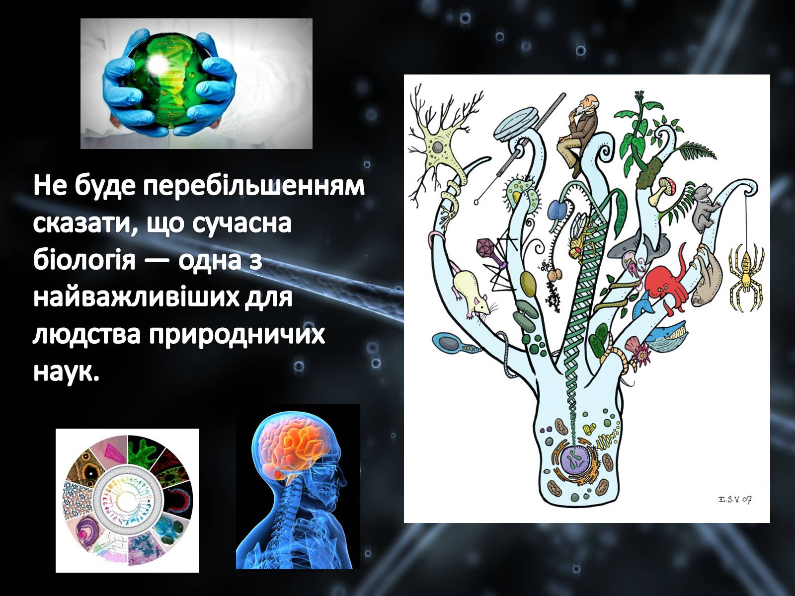 Презентація на тему «Значення біології в житті людини» - Слайд #2