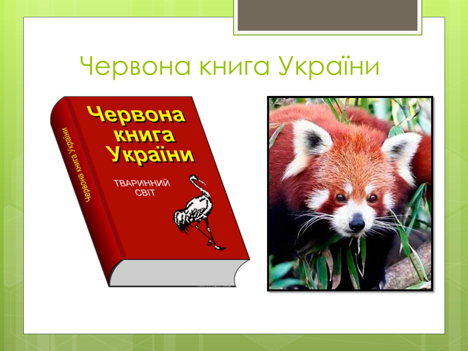 Презентація на тему «Природоохоронне законодавство України» (варіант 1) - Слайд #8