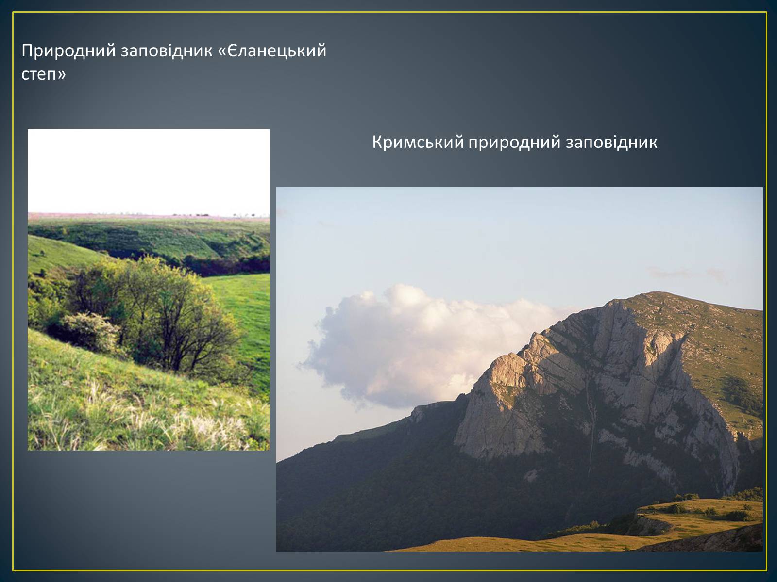 Презентація на тему «Екологічна ситуація в Україні» (варіант 1) - Слайд #22