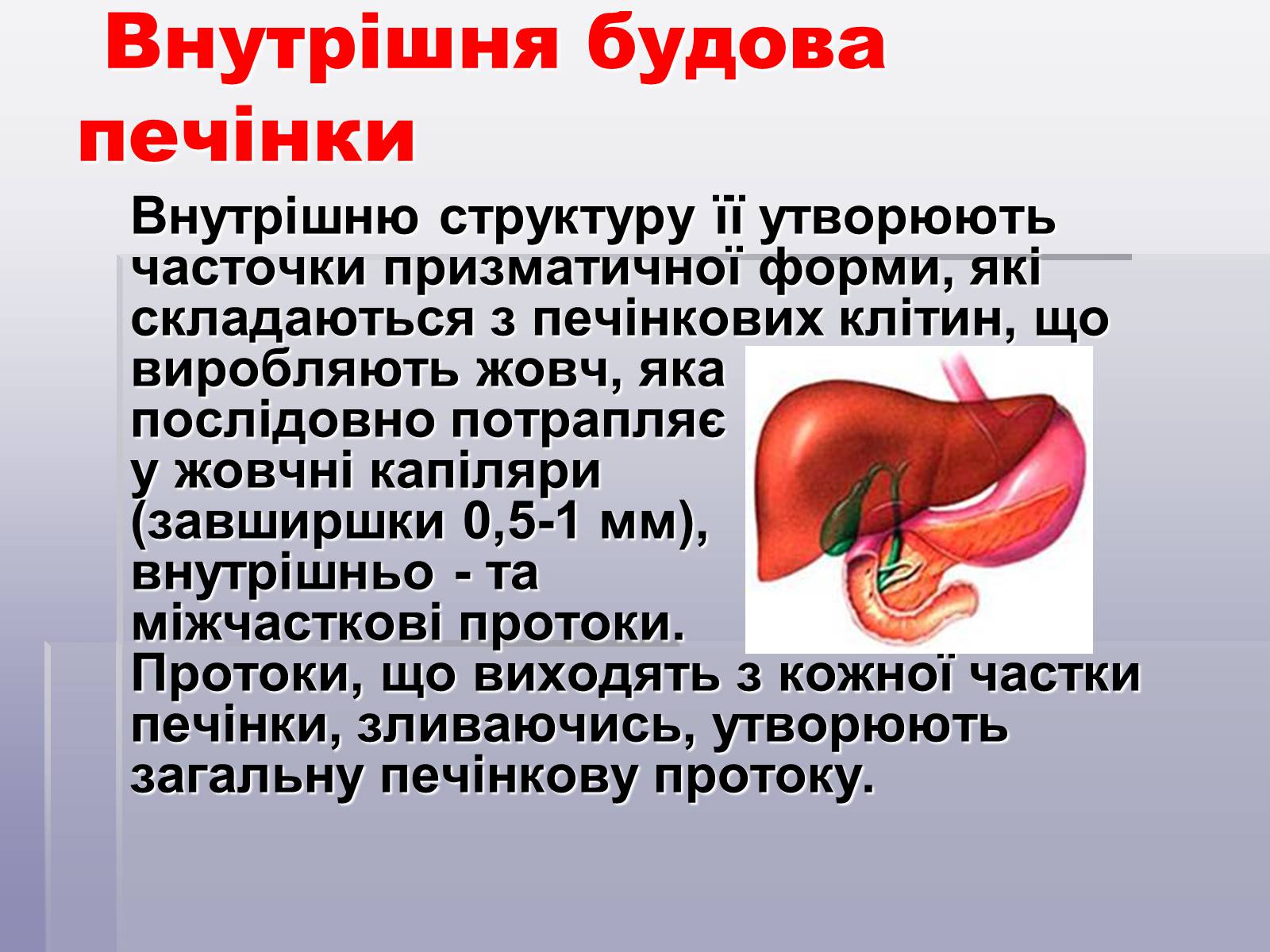 Презентація на тему «Печінка та кишечник» - Слайд #18