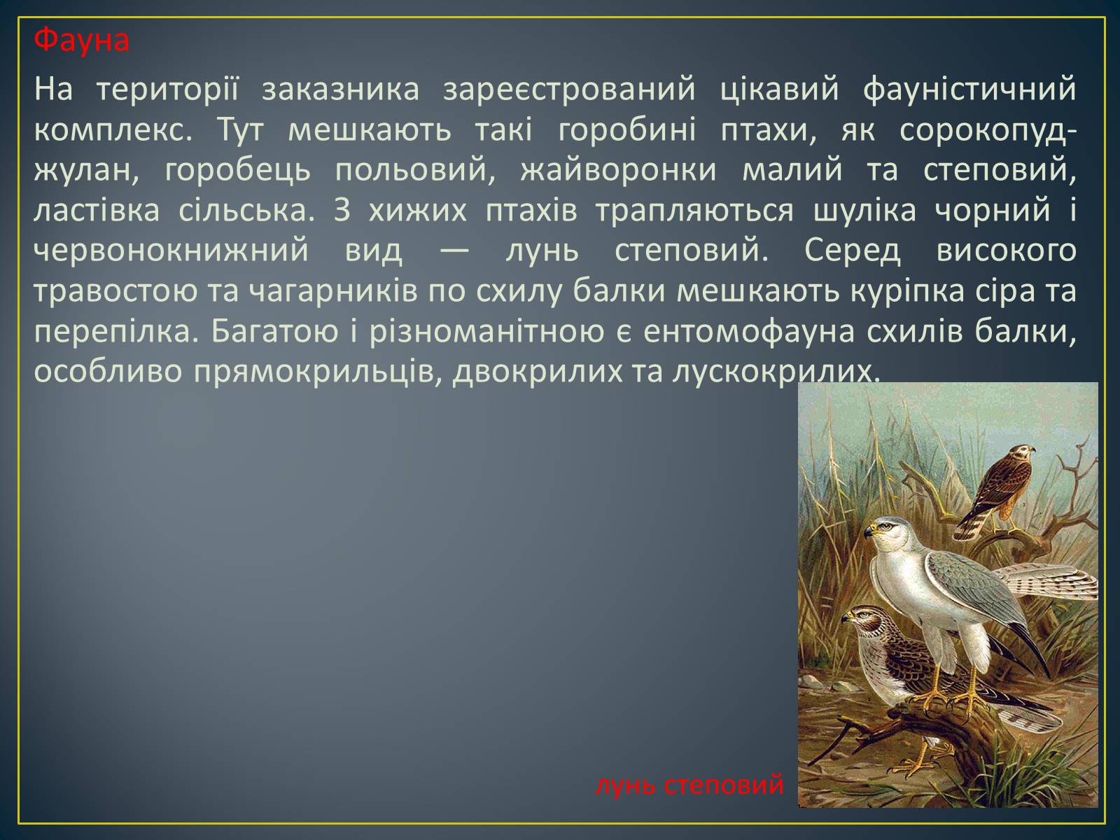 Презентація на тему «Екологічна ситуація в Україні» (варіант 1) - Слайд #36