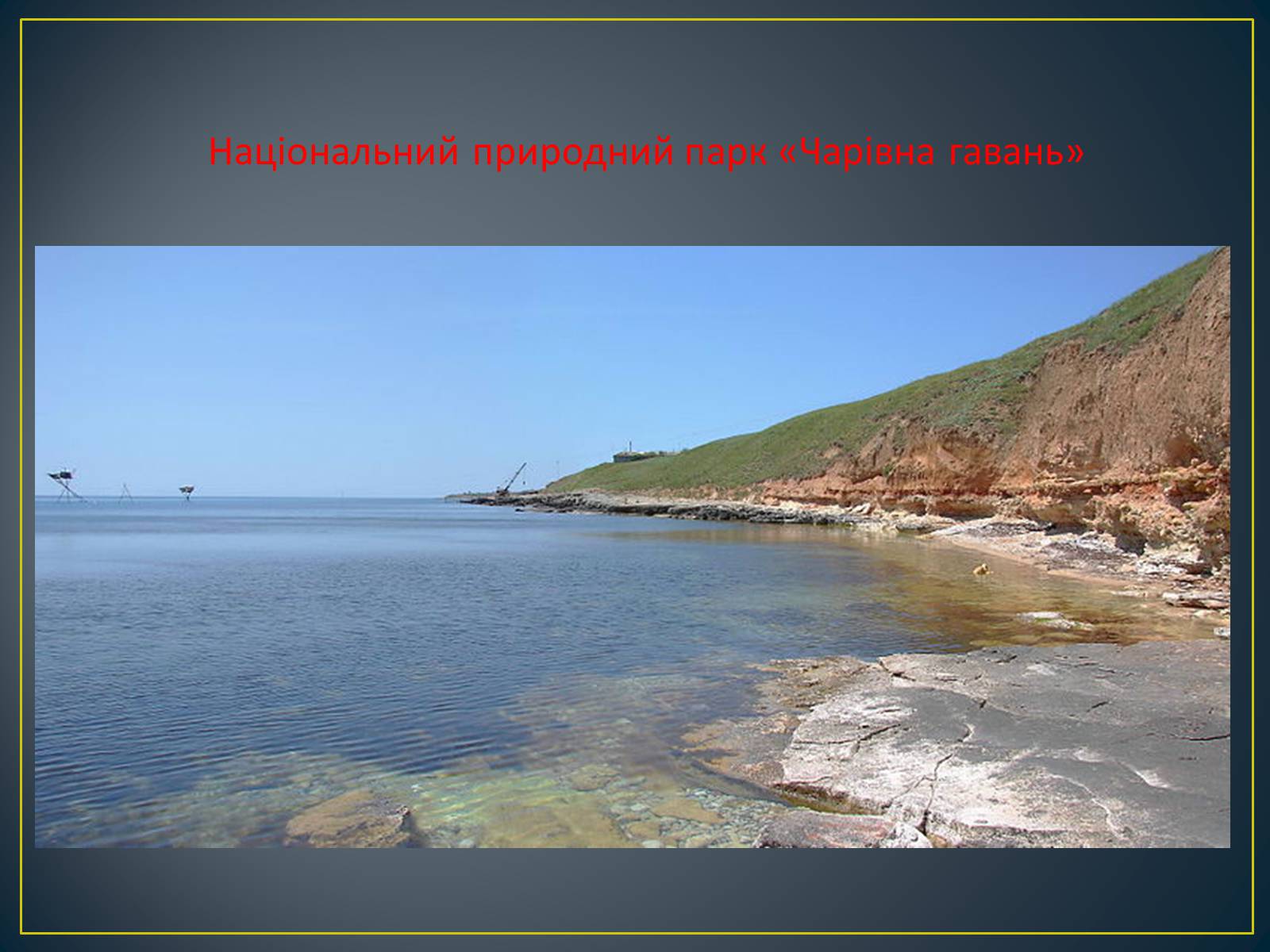 Презентація на тему «Екологічна ситуація в Україні» (варіант 1) - Слайд #40