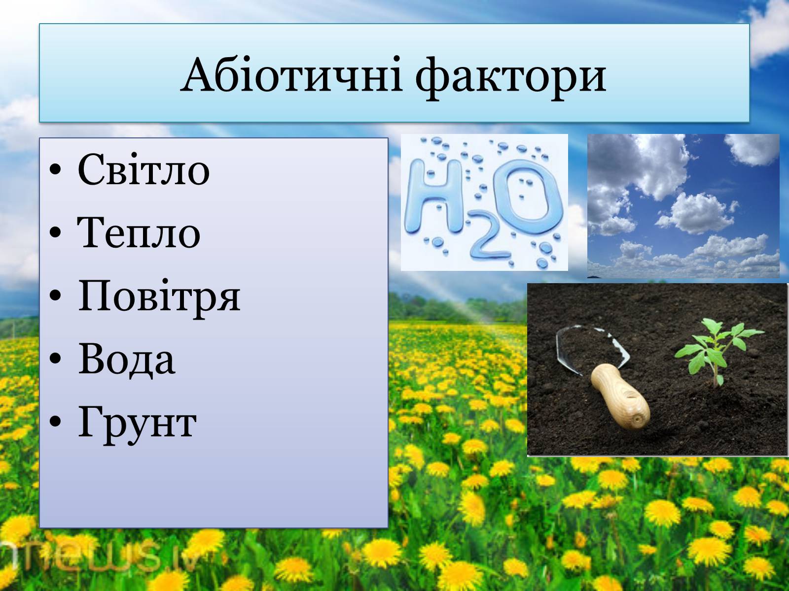 Презентація на тему «Рослина та абіотичні фактори» - Слайд #3