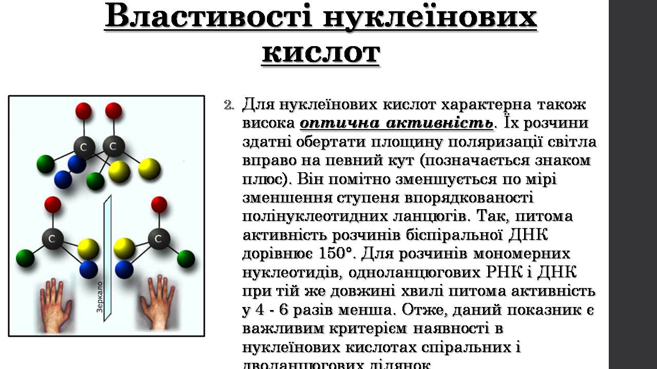 Презентація на тему «Нуклеїнові кислоти» (варіант 9) - Слайд #11