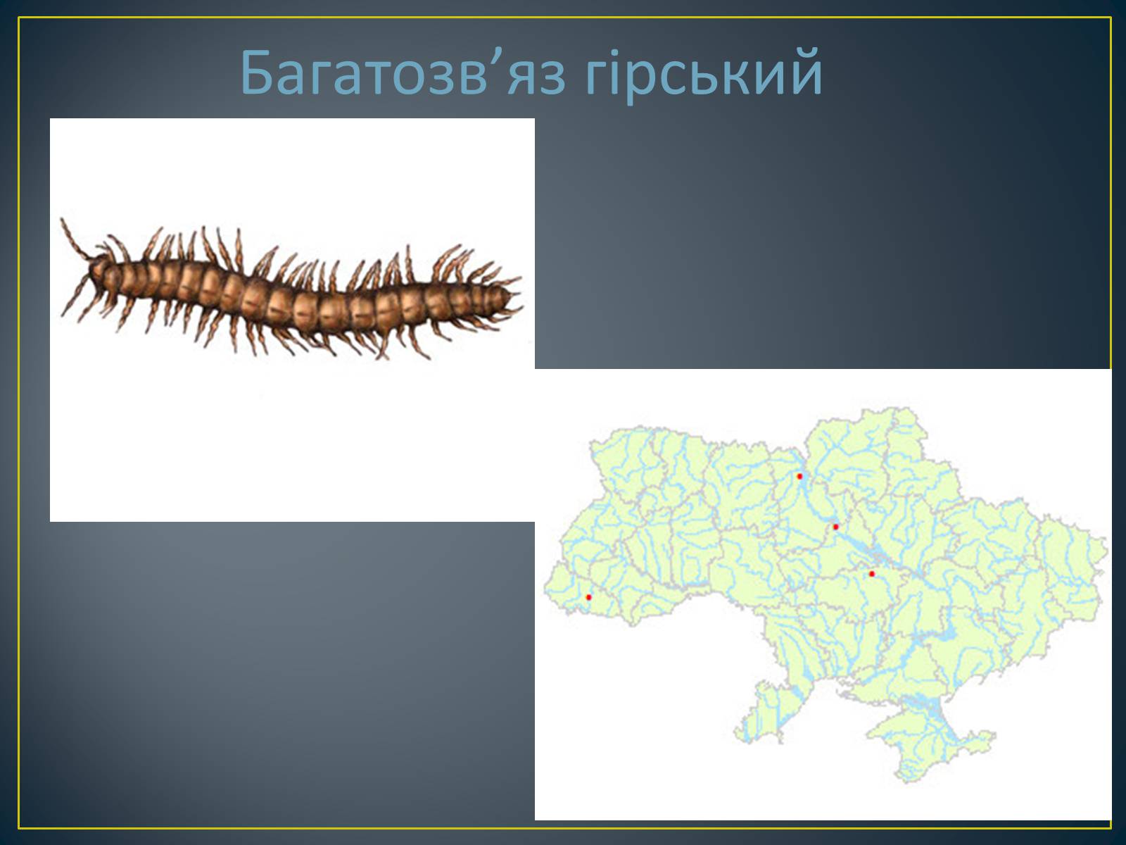 Презентація на тему «Екологічна ситуація в Україні» (варіант 1) - Слайд #58