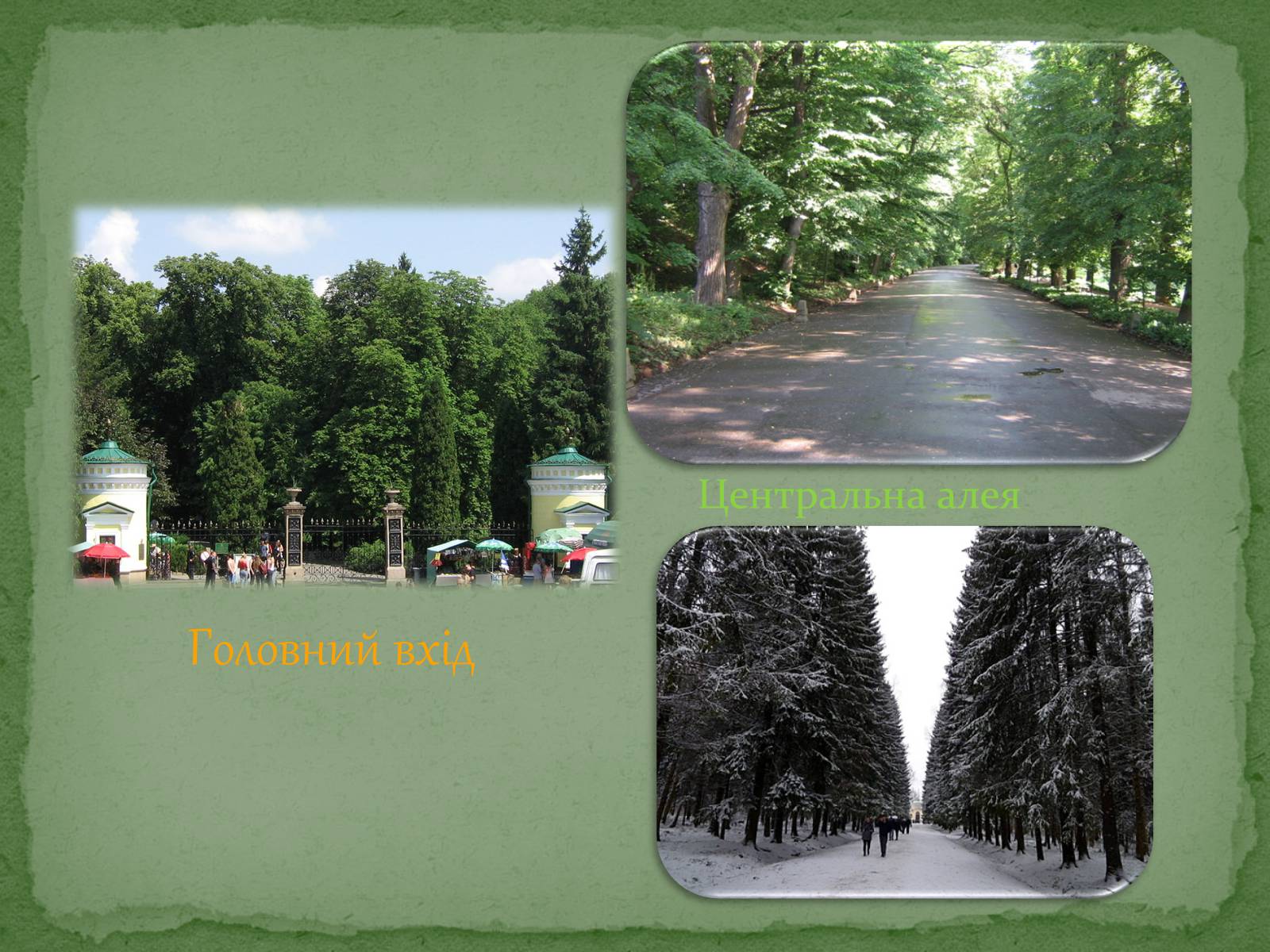 Презентація на тему «Софіївський парк» - Слайд #5