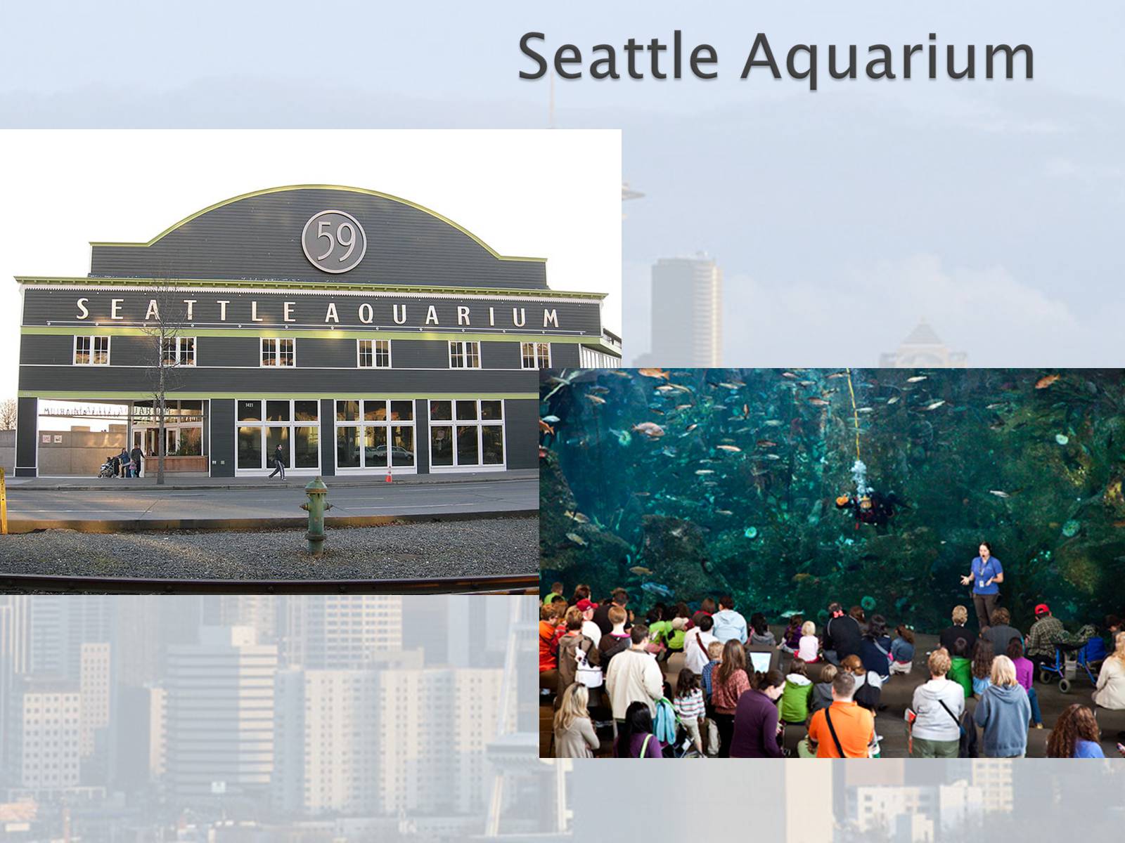 Презентація на тему «Seattle» (варіант 1) - Слайд #26