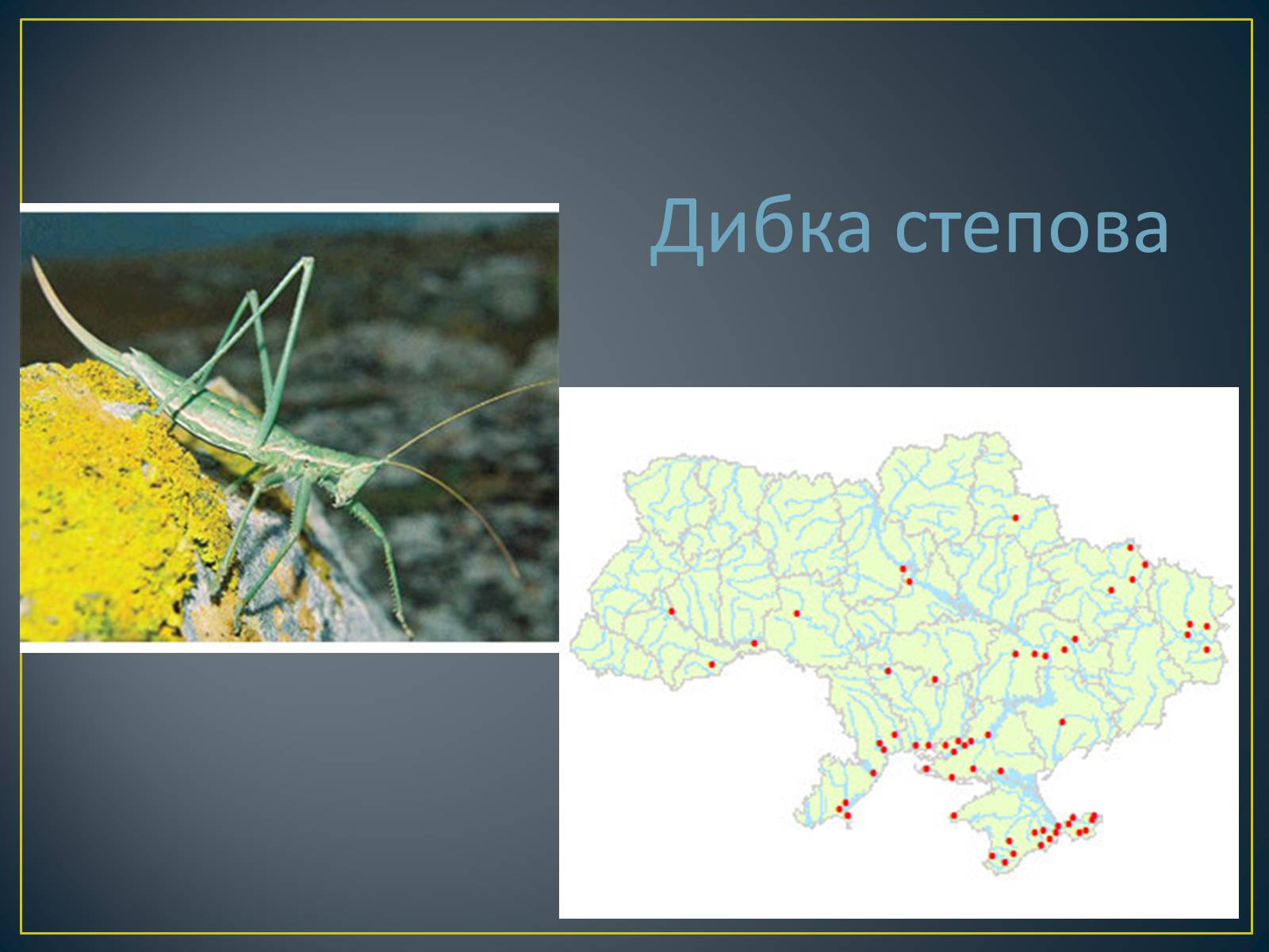 Презентація на тему «Екологічна ситуація в Україні» (варіант 1) - Слайд #66