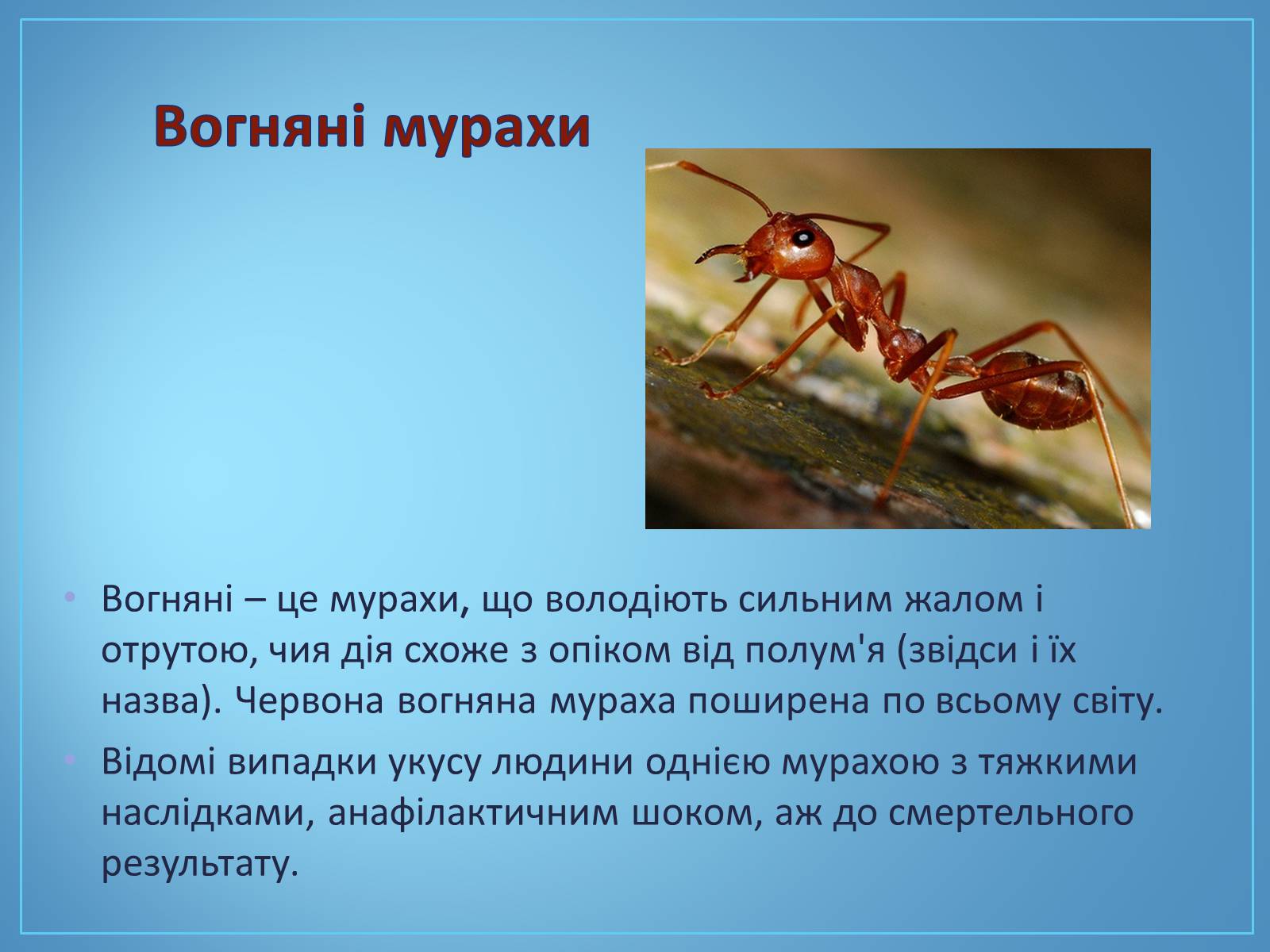 Презентація на тему «Про мурах з мурашника» - Слайд #7