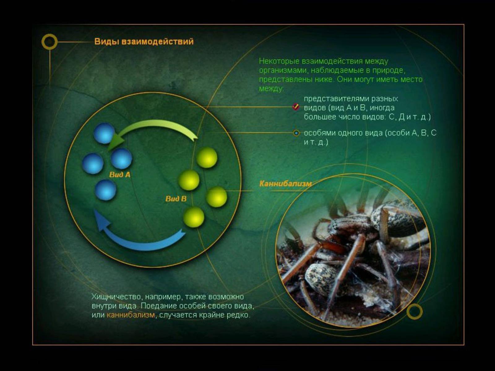 Презентація на тему «Взаимоотношения между организмами» - Слайд #3