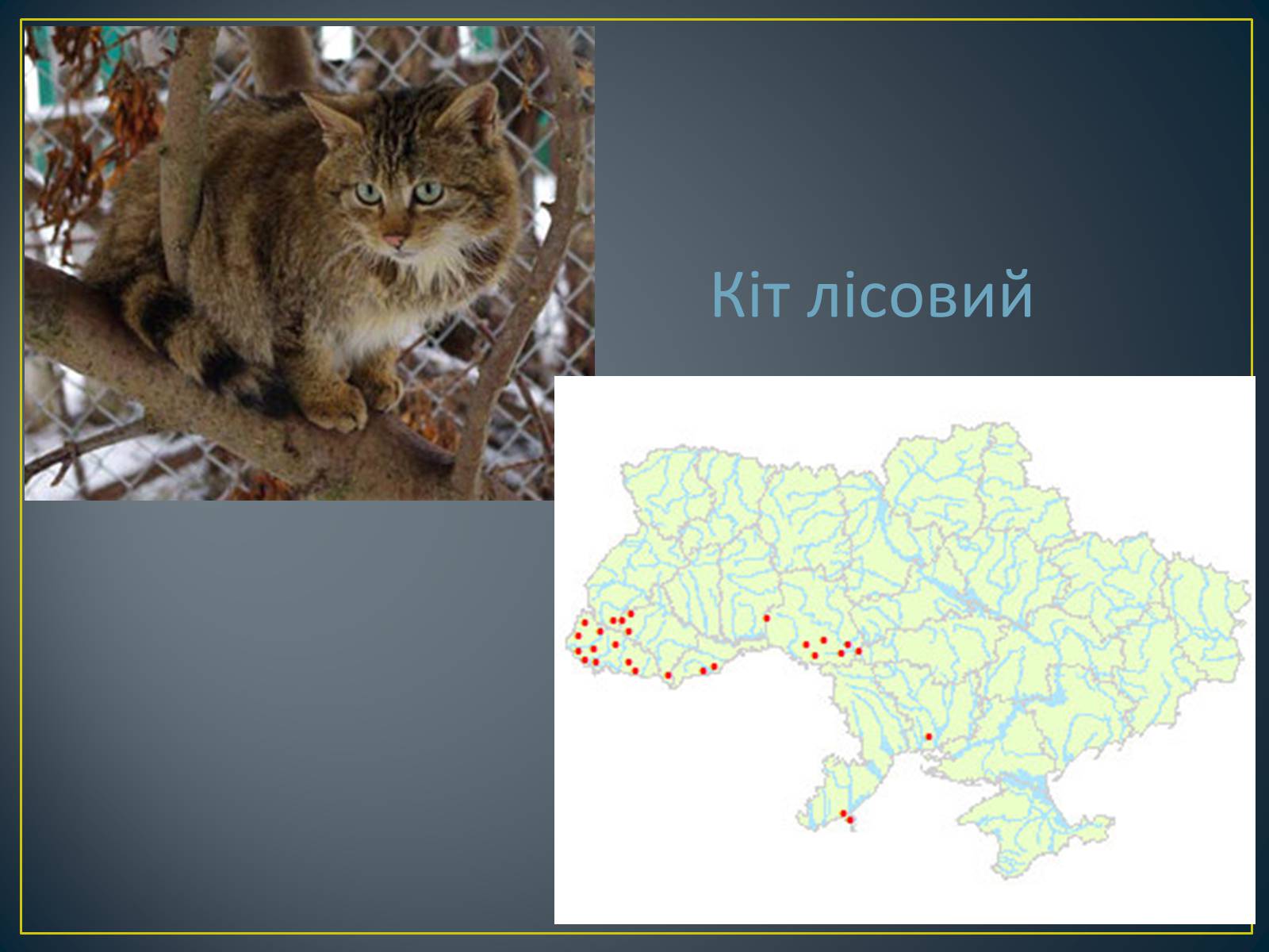 Презентація на тему «Екологічна ситуація в Україні» (варіант 1) - Слайд #82