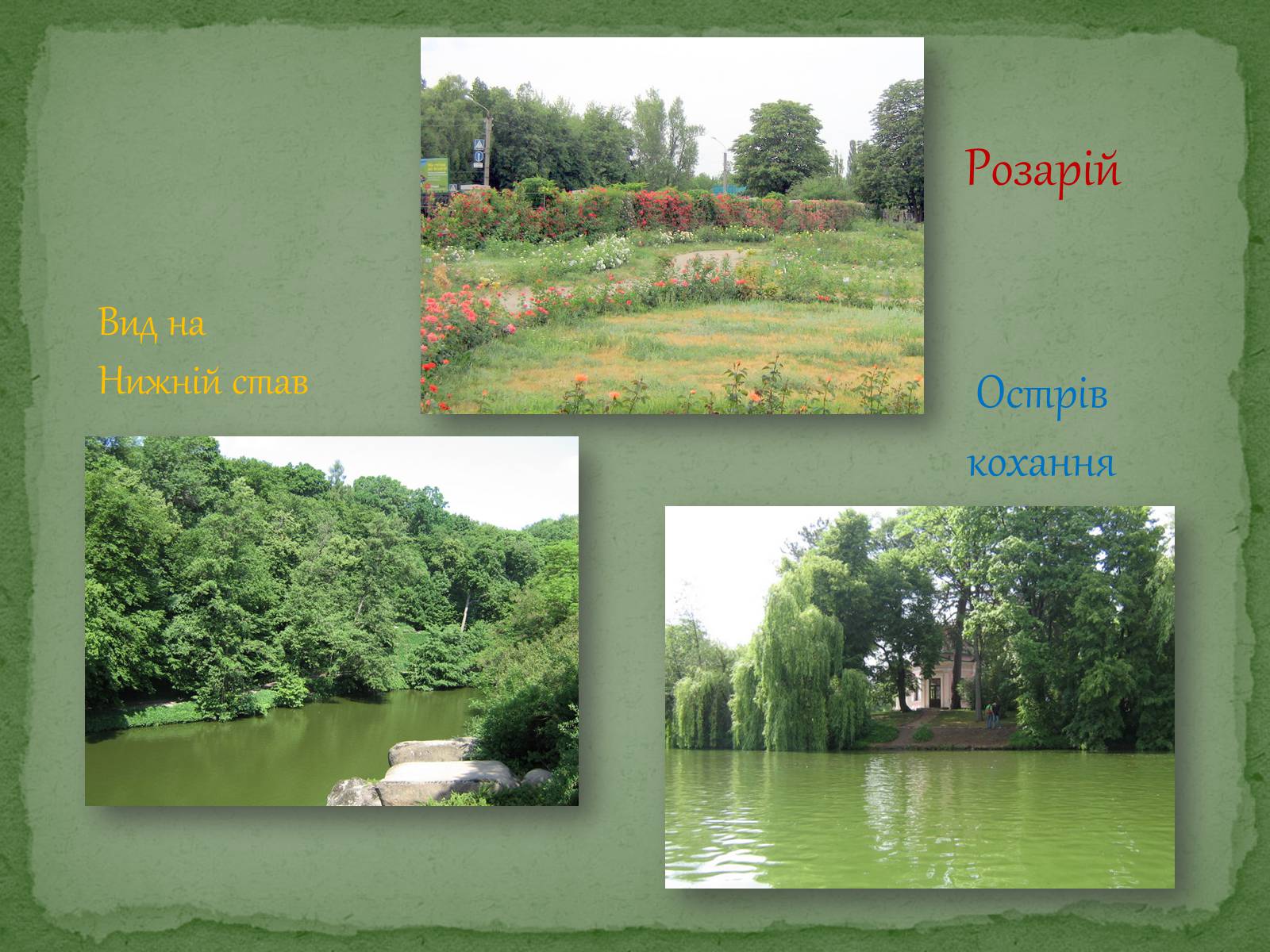 Презентація на тему «Софіївський парк» - Слайд #30