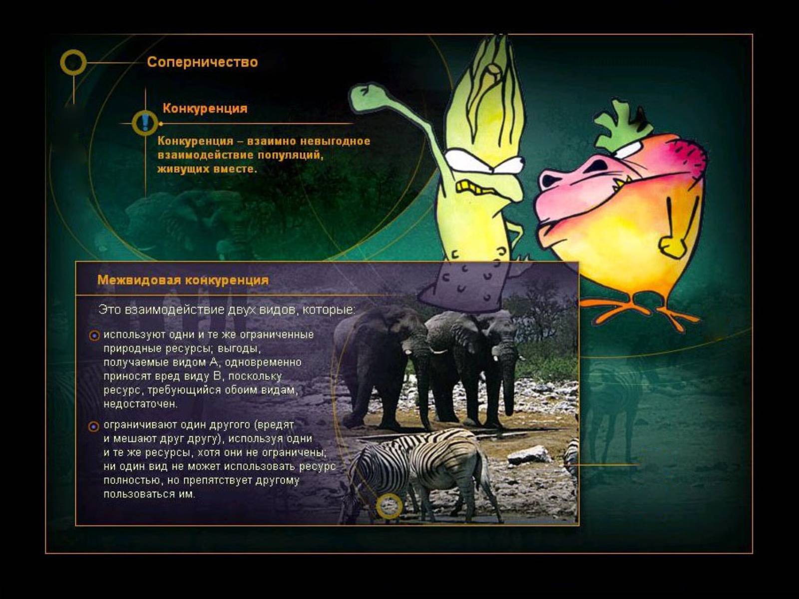 Презентація на тему «Взаимоотношения между организмами» - Слайд #12