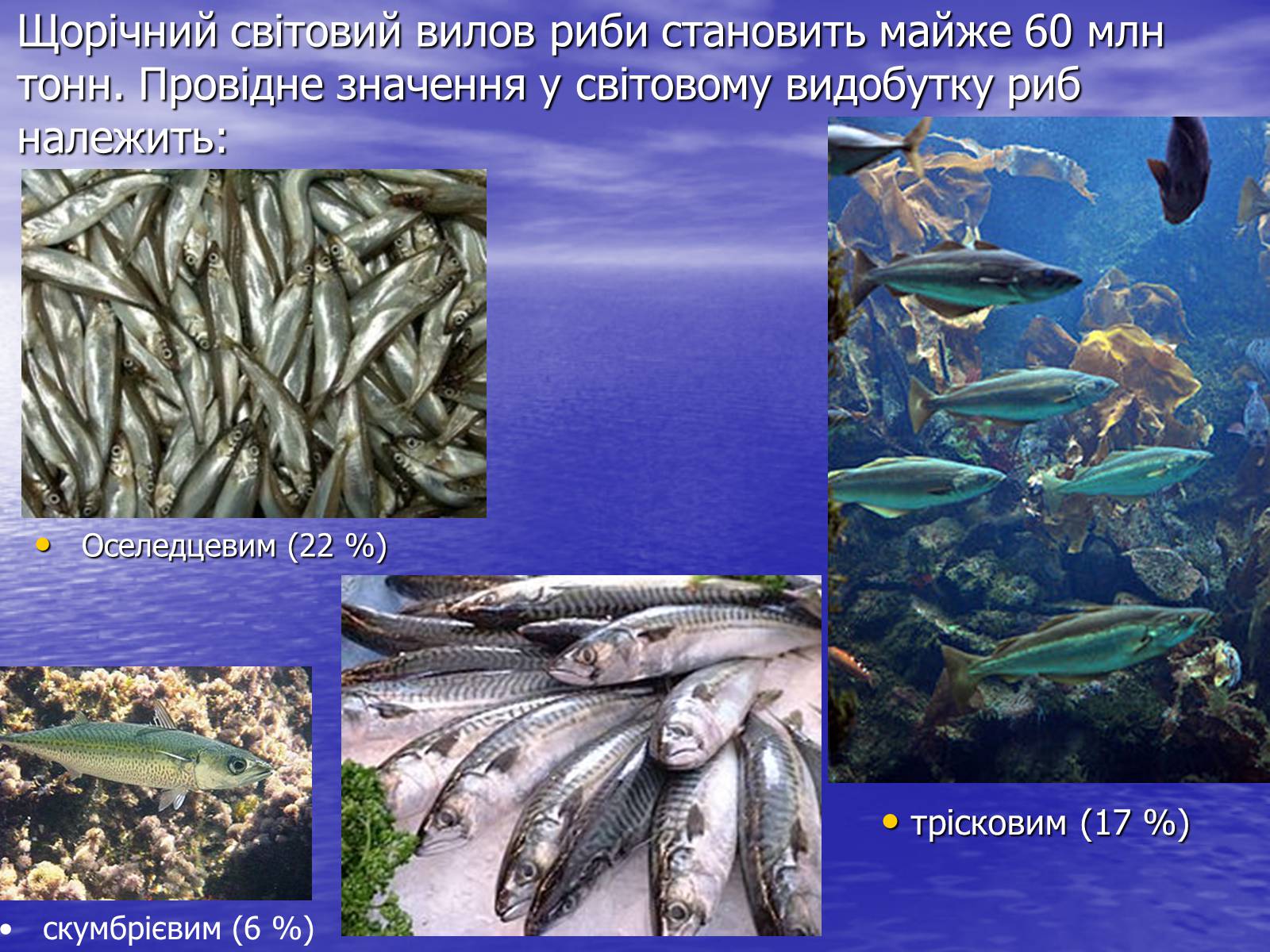 Презентація на тему «Значення риб у природі та житті людини» - Слайд #5