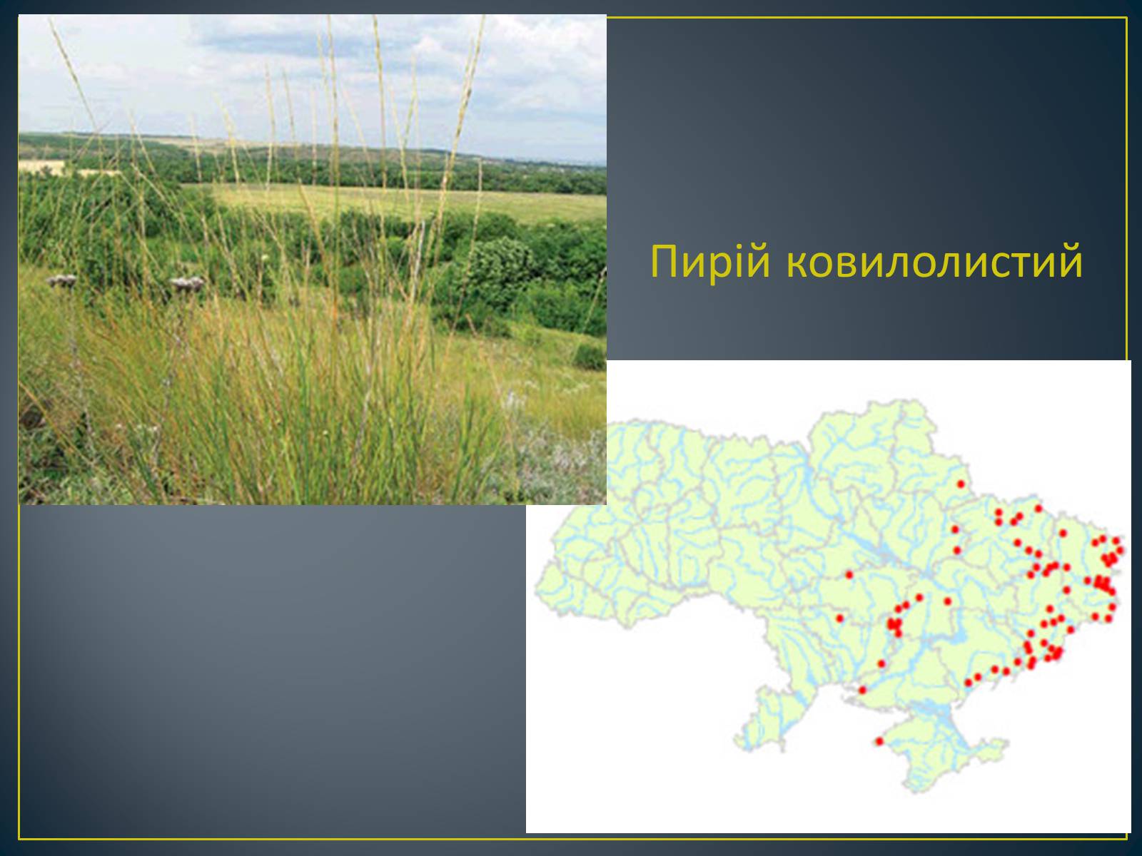 Презентація на тему «Екологічна ситуація в Україні» (варіант 1) - Слайд #105