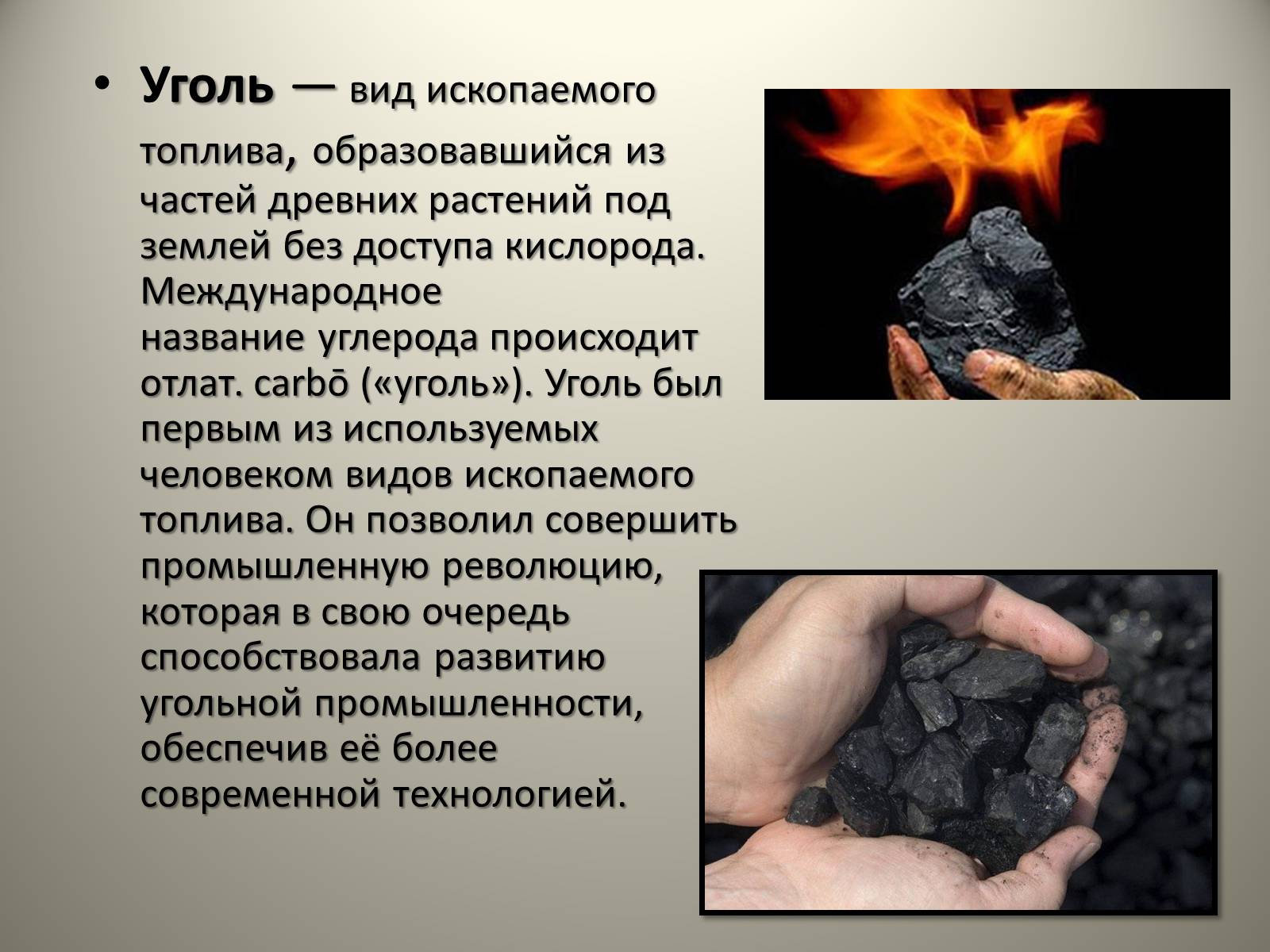 Презентація на тему «Каменный уголь. Его образование» - Слайд #2
