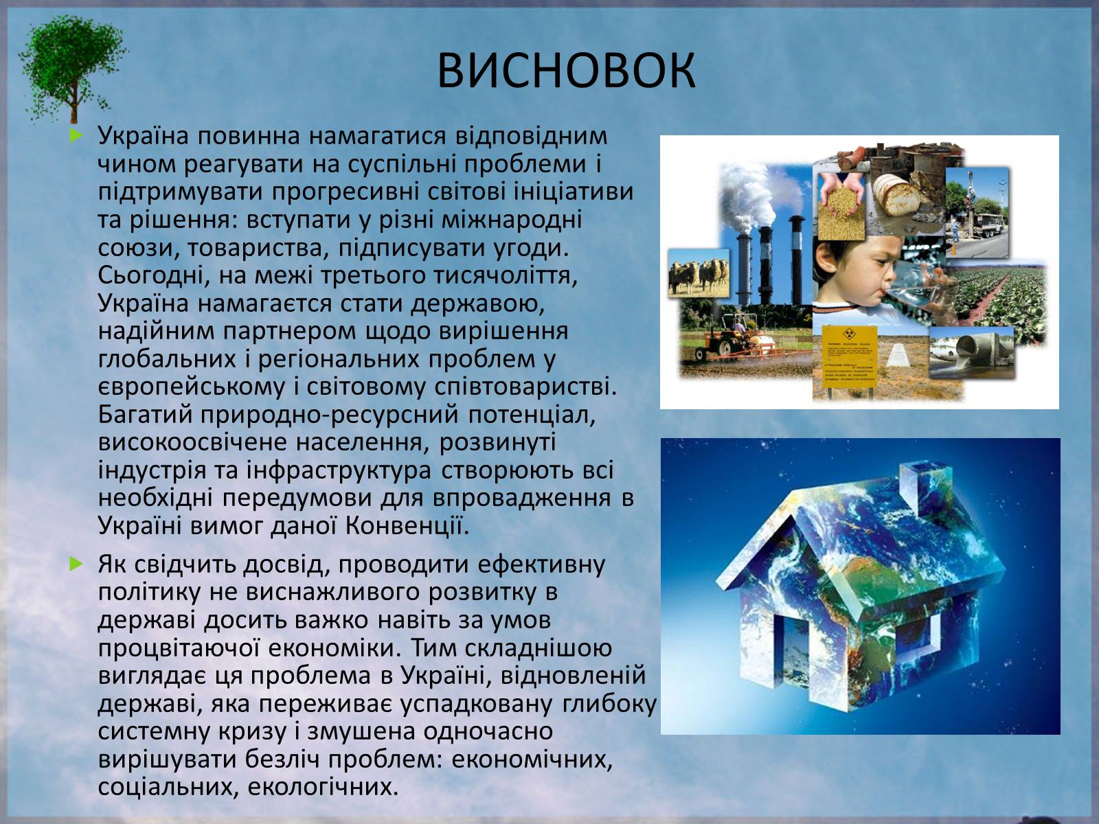 Презентація на тему «Екологічне право в Україні» - Слайд #14