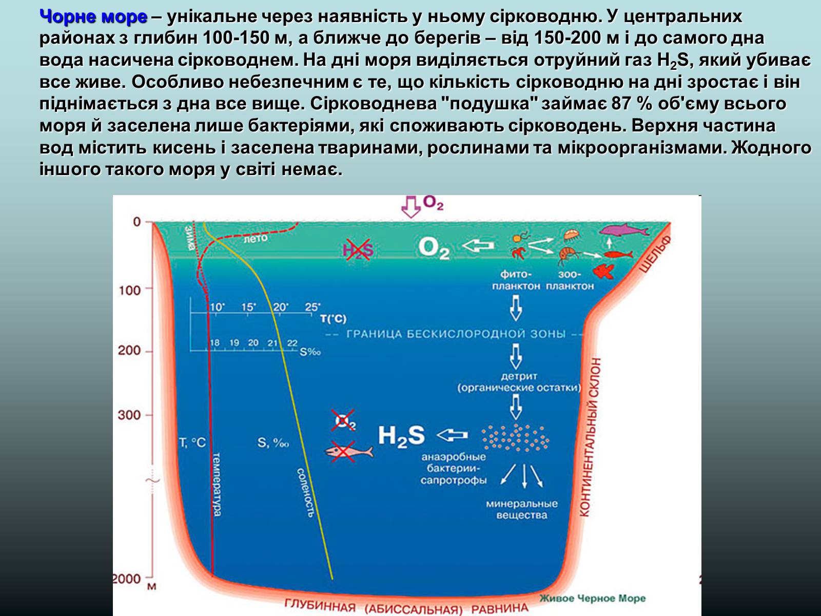 Презентація на тему «Фізико - географічна характеристика Чорного моря» - Слайд #10
