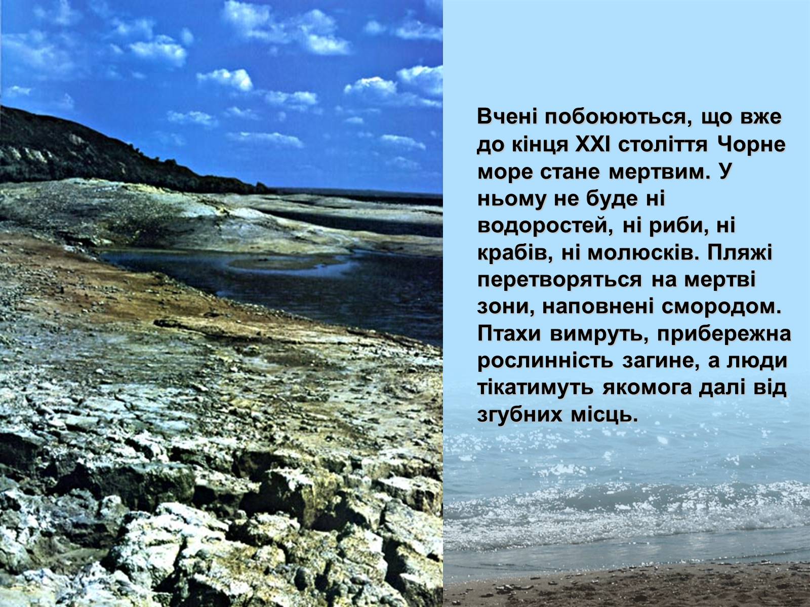 Презентація на тему «Фізико - географічна характеристика Чорного моря» - Слайд #12