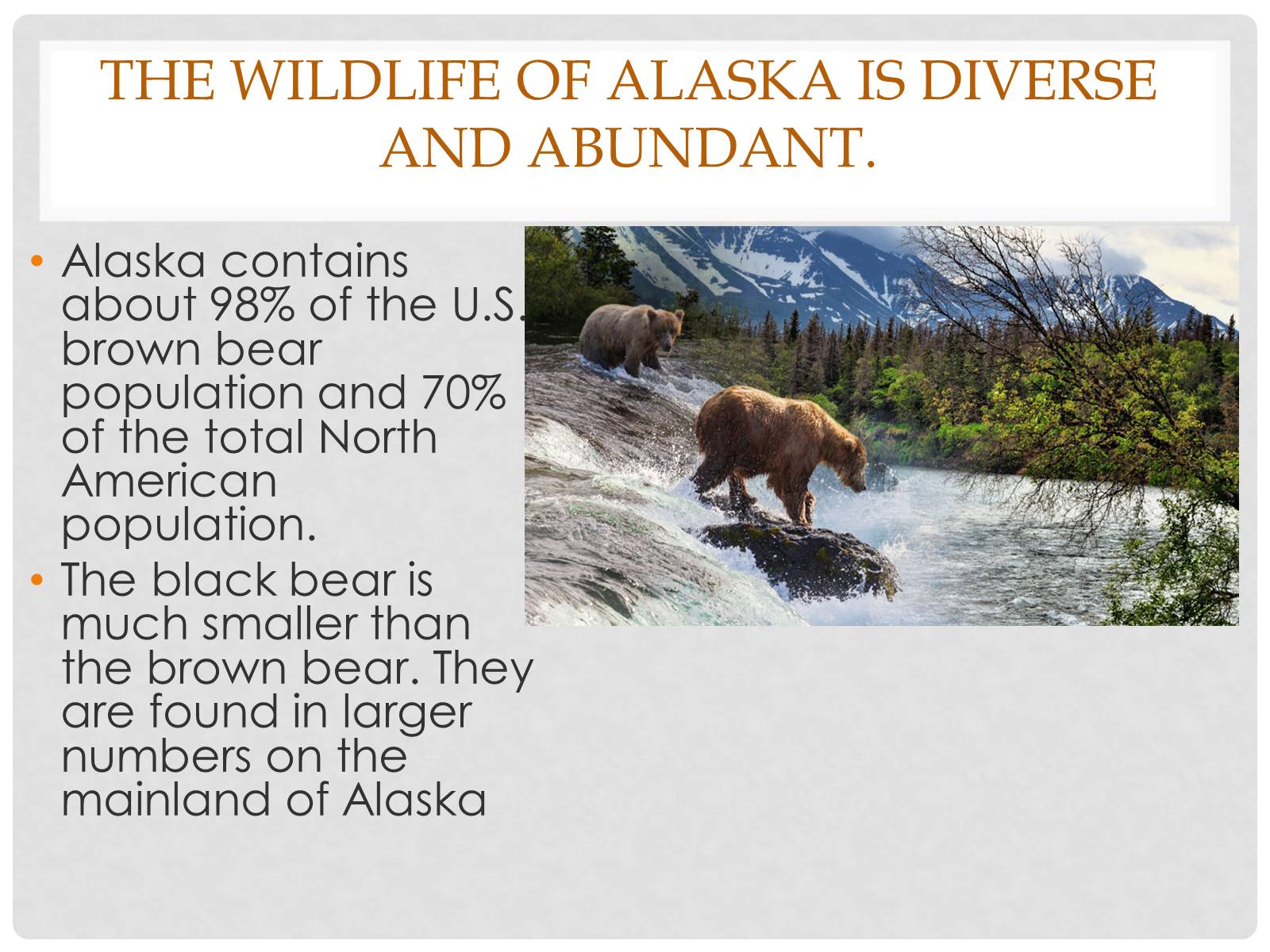 Презентація на тему «Alaska» - Слайд #6