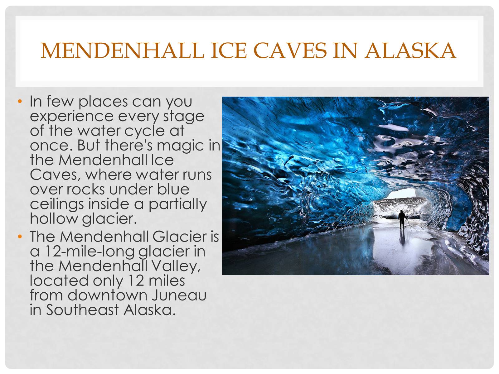 Презентація на тему «Alaska» - Слайд #10