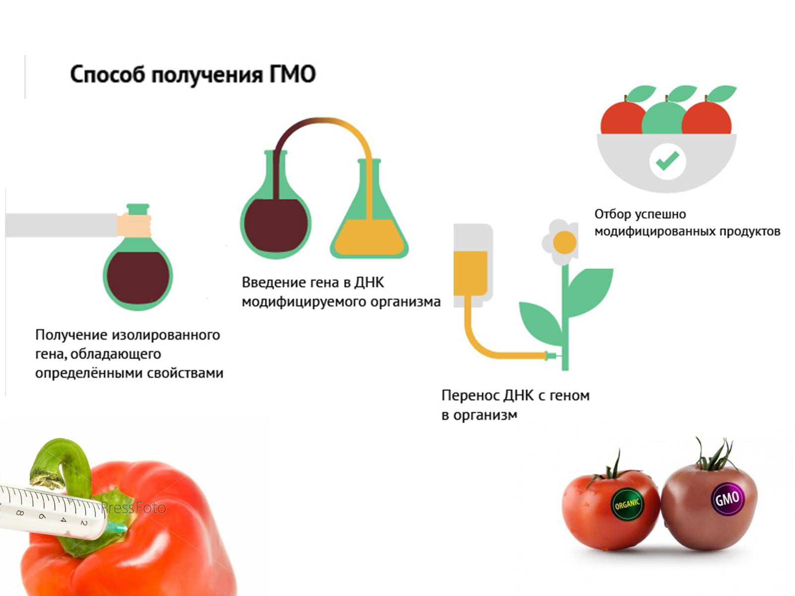 Презентація на тему «ГМО» (варіант 3) - Слайд #6