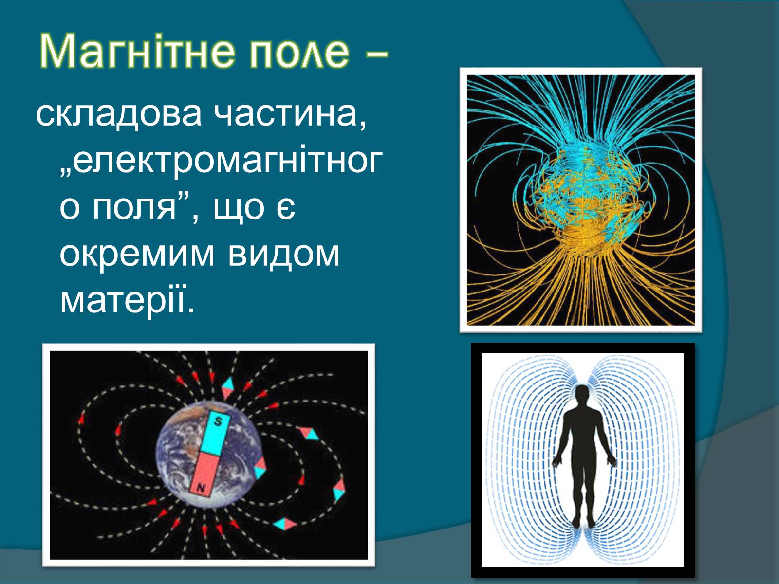 Презентація на тему «Вплив магнітного поля на живі організми» (варіант 1) - Слайд #2