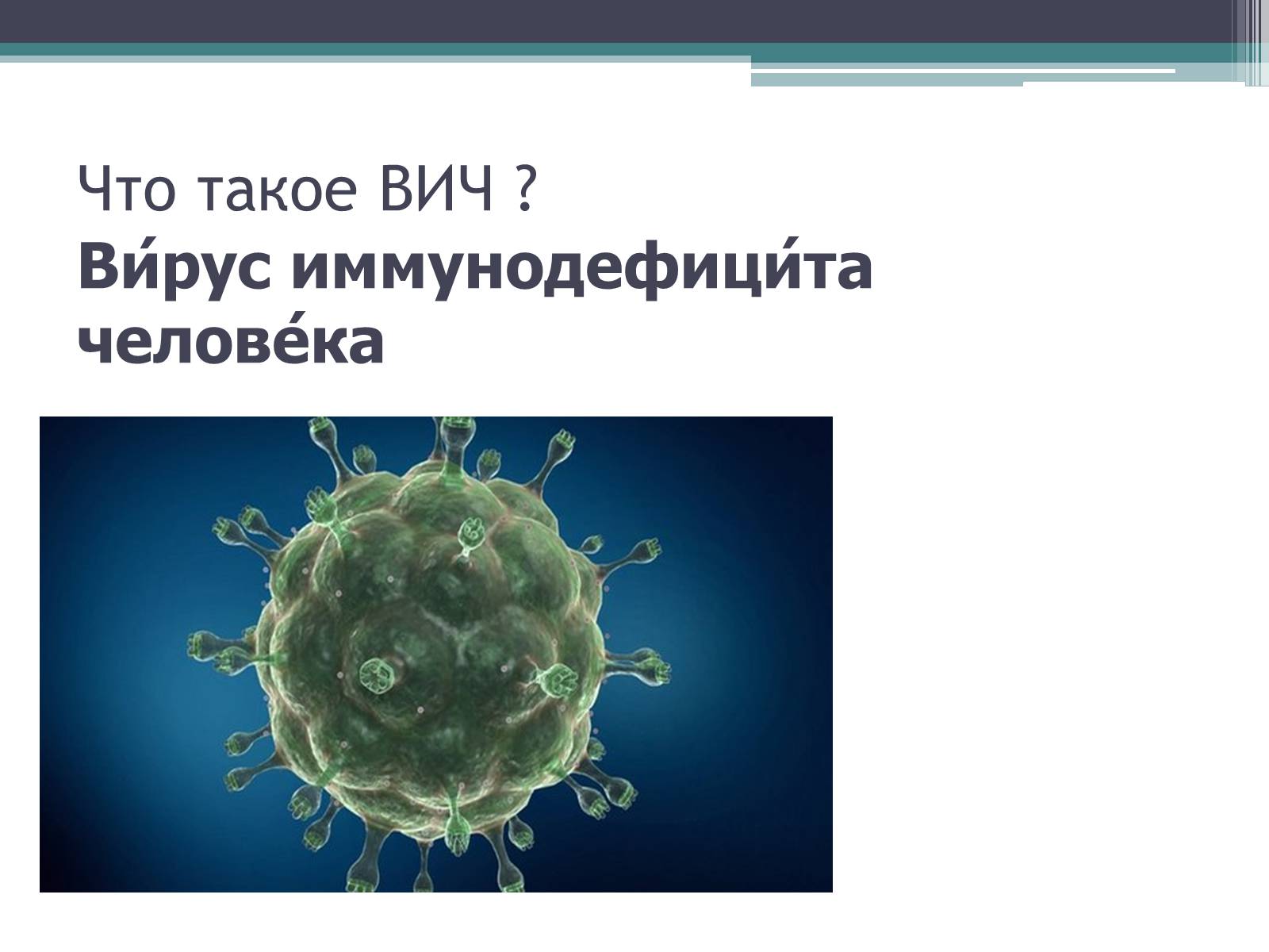 Презентація на тему «Что такое иммунитет с биологической точки зрения?» - Слайд #6