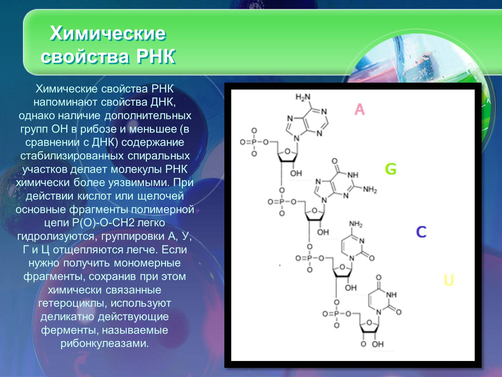 Рнк 8. Химическое строение и структура РНК. Химические свойства РНК. Рибонуклеиновая кислота формула химическая. Химические связи в РНК.