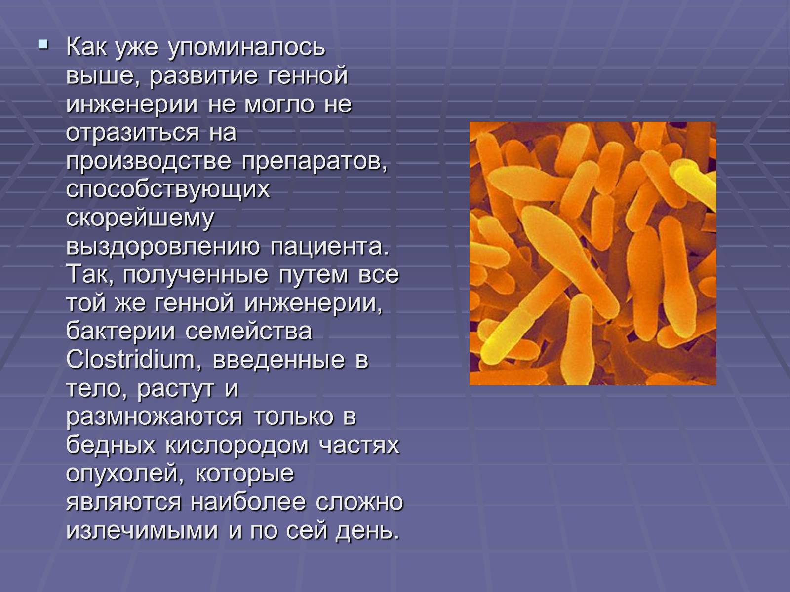 Презентація на тему «Биотехнологии» - Слайд #12