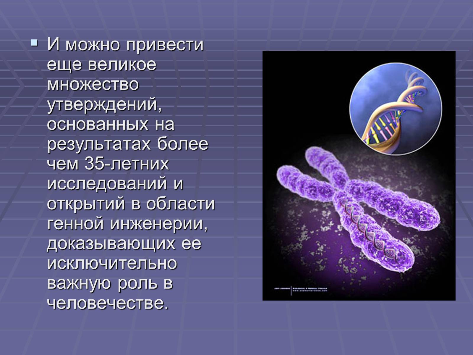 Презентація на тему «Биотехнологии» - Слайд #13