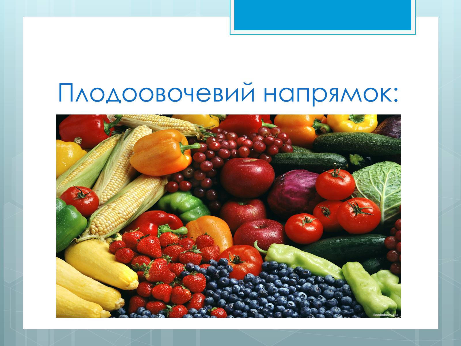 Презентація на тему «Дослідження закономірностей розміщення підприємств харчової промисловості України.» - Слайд #17