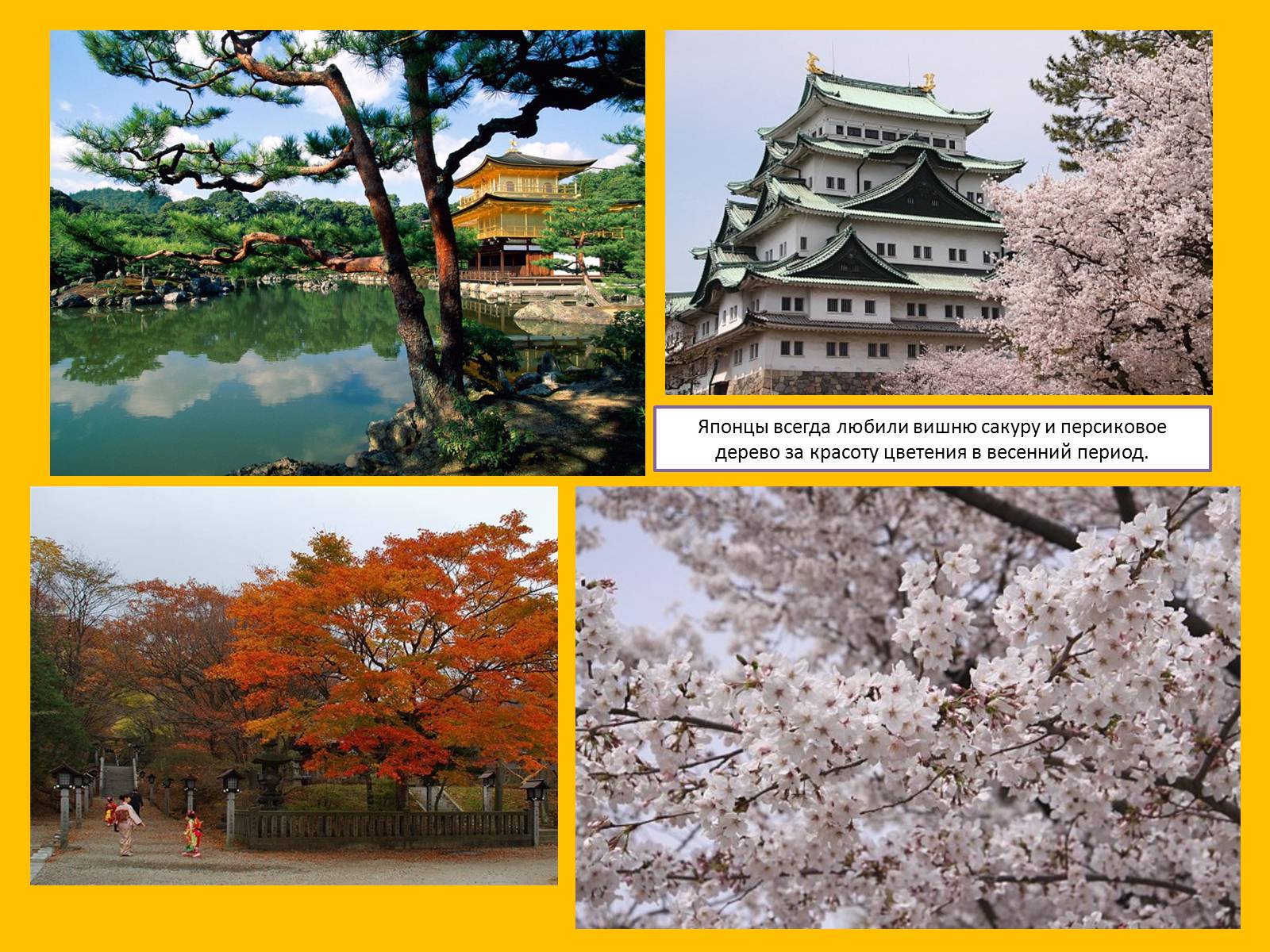 Презентація на тему «Япония» (варіант 2) - Слайд #18