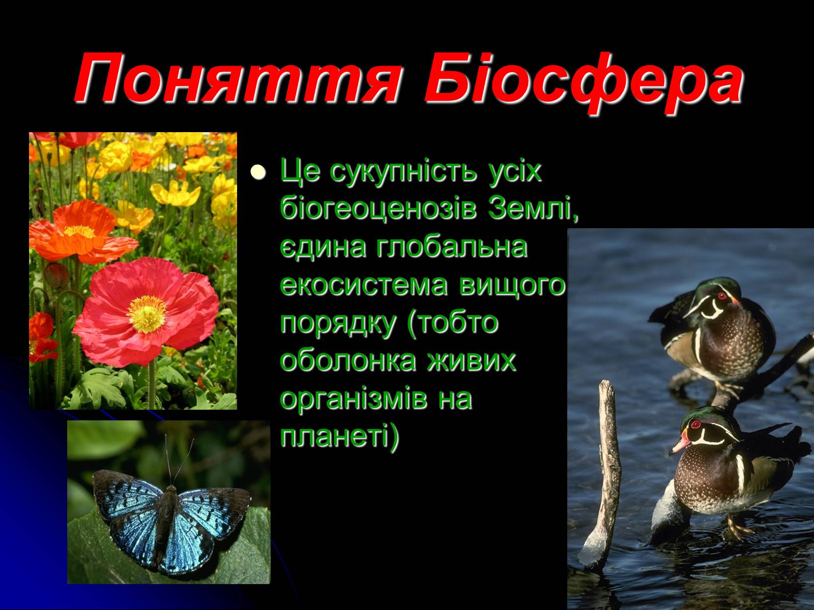 Презентація на тему «Біосфера» (варіант 10) - Слайд #3