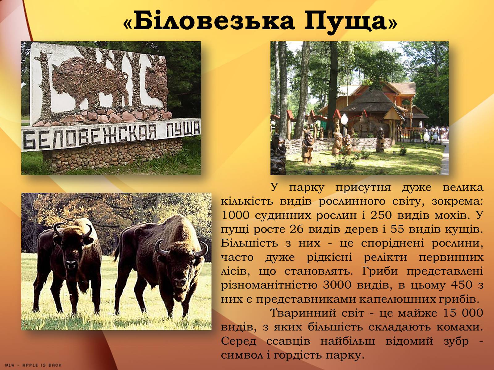 Презентація на тему «Білорусь» (варіант 1) - Слайд #9