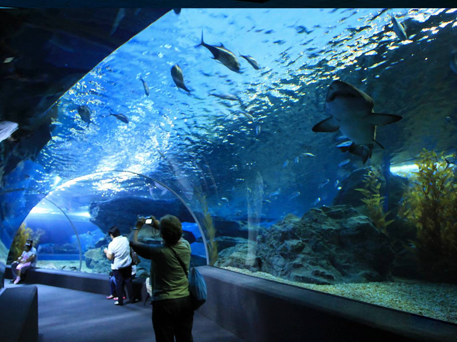 парк аквариум