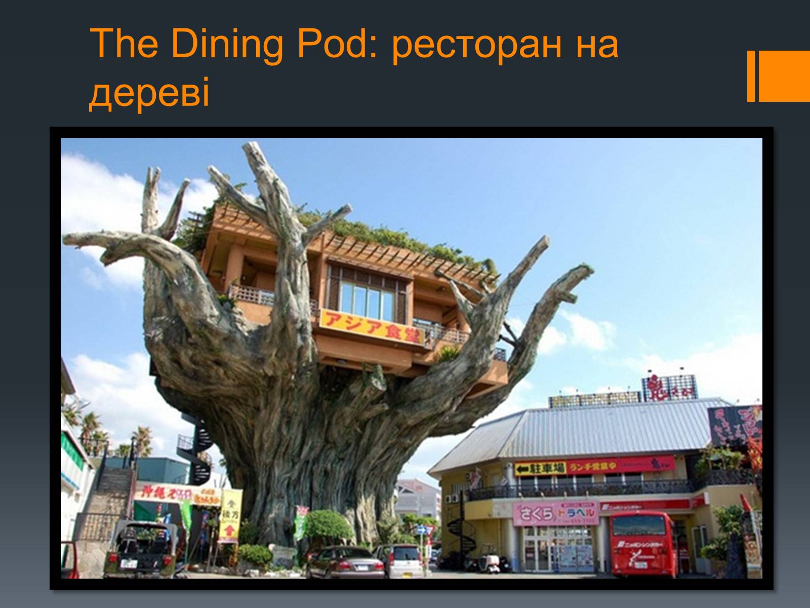 Презентація на тему «Найвідоміші ресторани світу» - Слайд #23