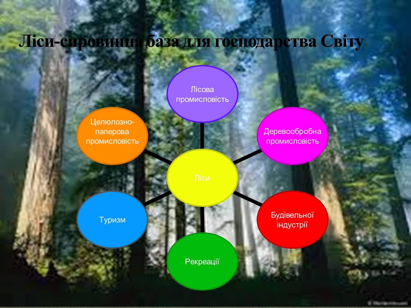 Презентація на тему «Лісові ресурси» (варіант 2) - Слайд #3
