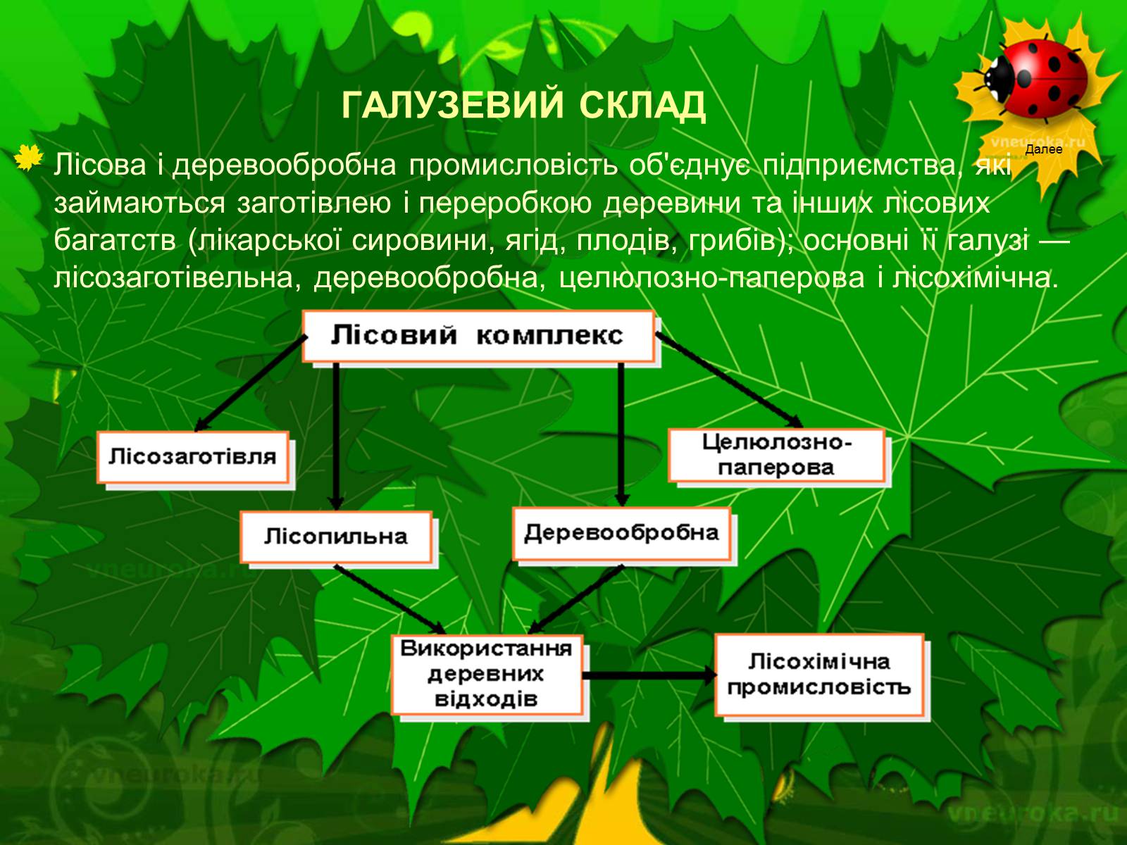 Презентація на тему «Екологічні проблеми лісів України» - Слайд #20