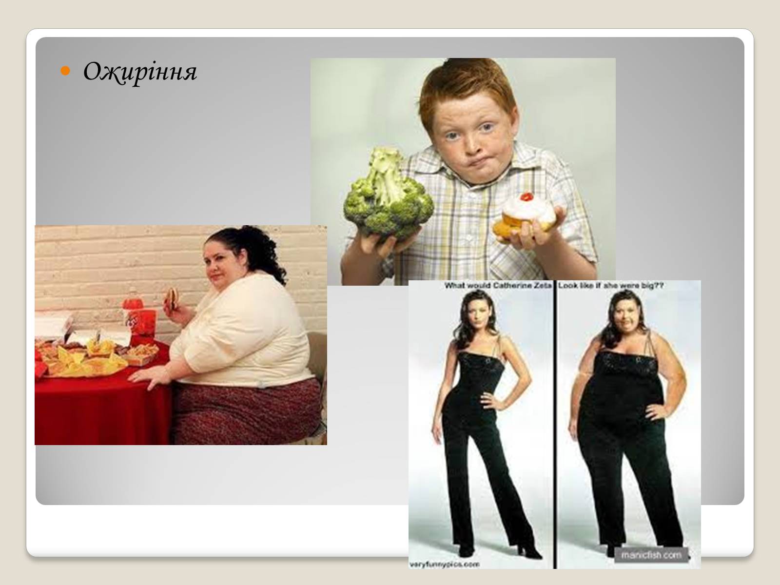 Презентація на тему «Жири, склад жирів, їх утворення» (варіант 2) - Слайд #3