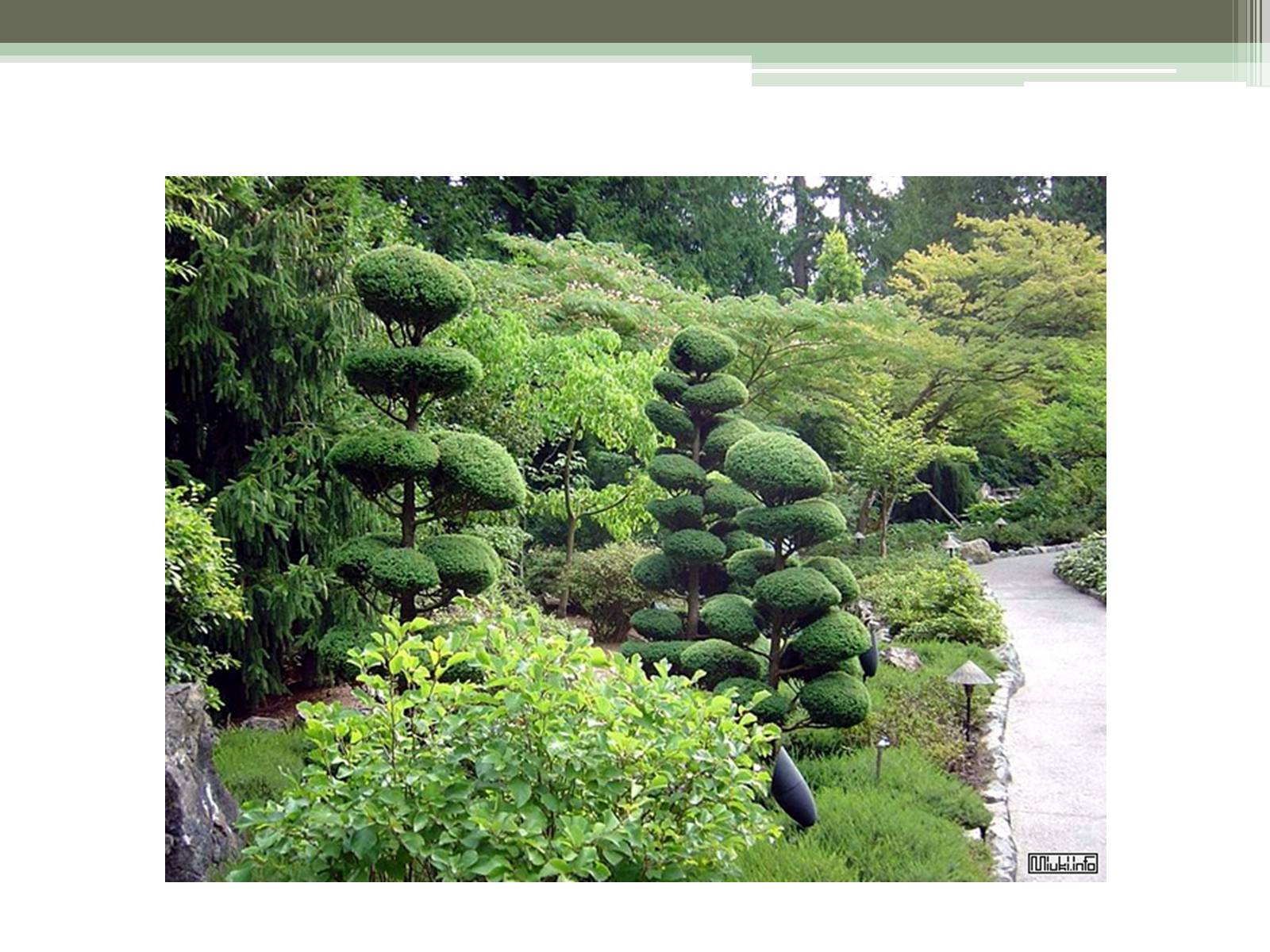 Презентація на тему «Ландшафтные сады Японии» - Слайд #5