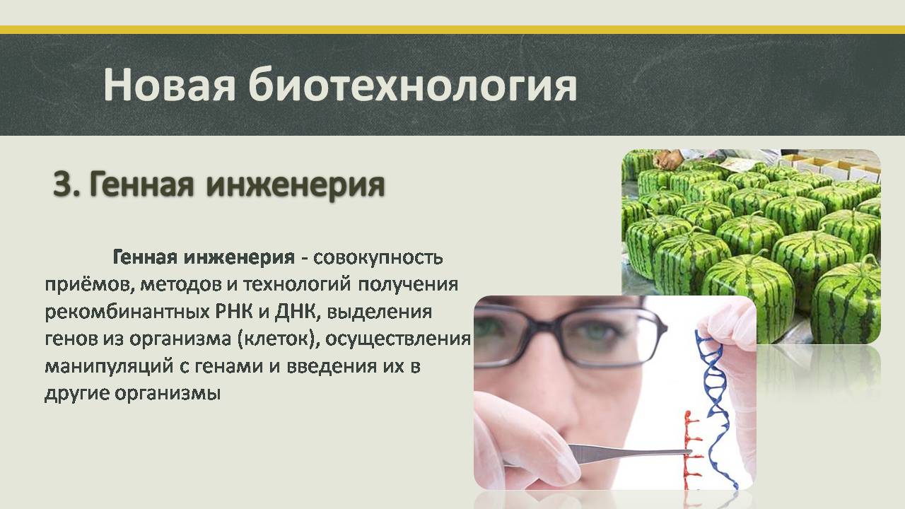 Презентація на тему «Современные направления биотехнологий» - Слайд #8
