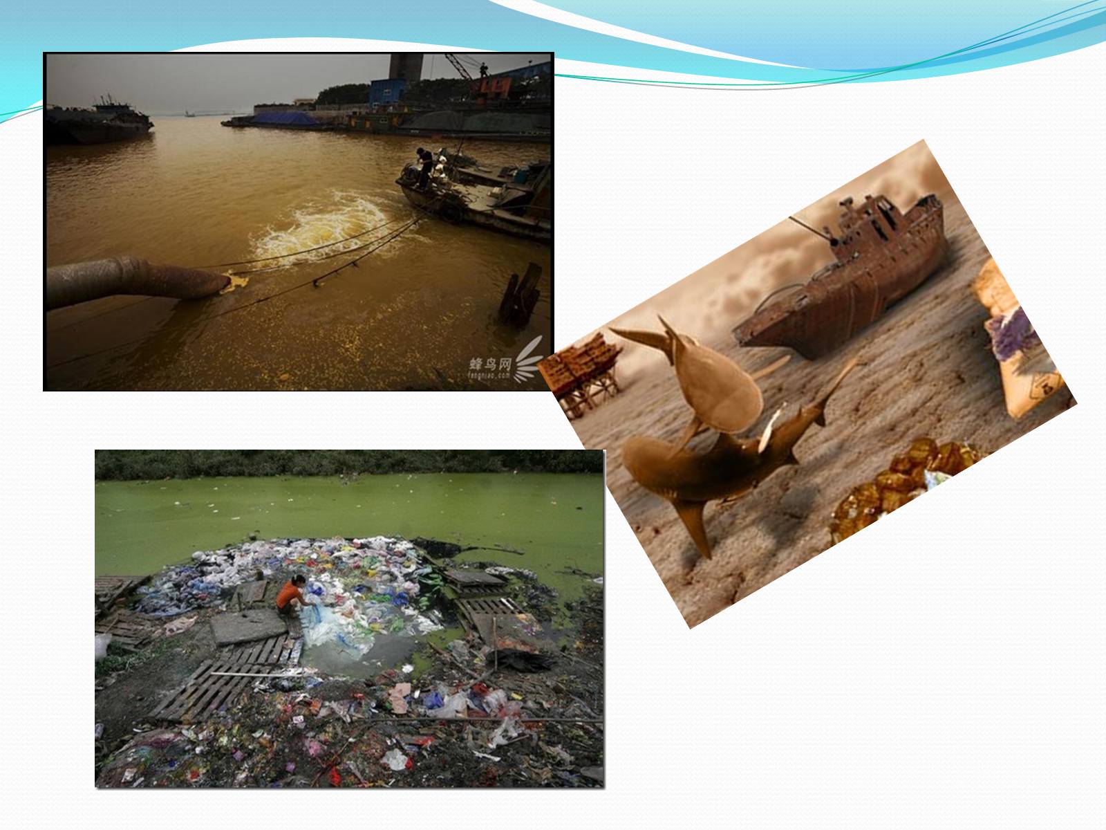 Презентація на тему «Забруднення світового океану» (варіант 2) - Слайд #5