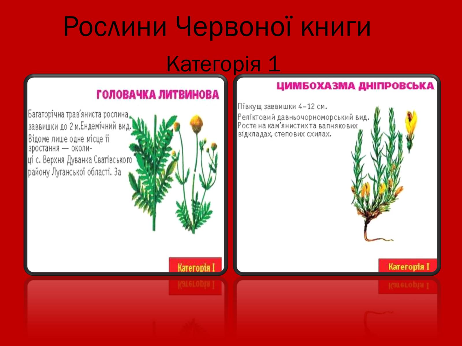 Презентація на тему «Тваринний і рослинний світ Червоної книги» - Слайд #7