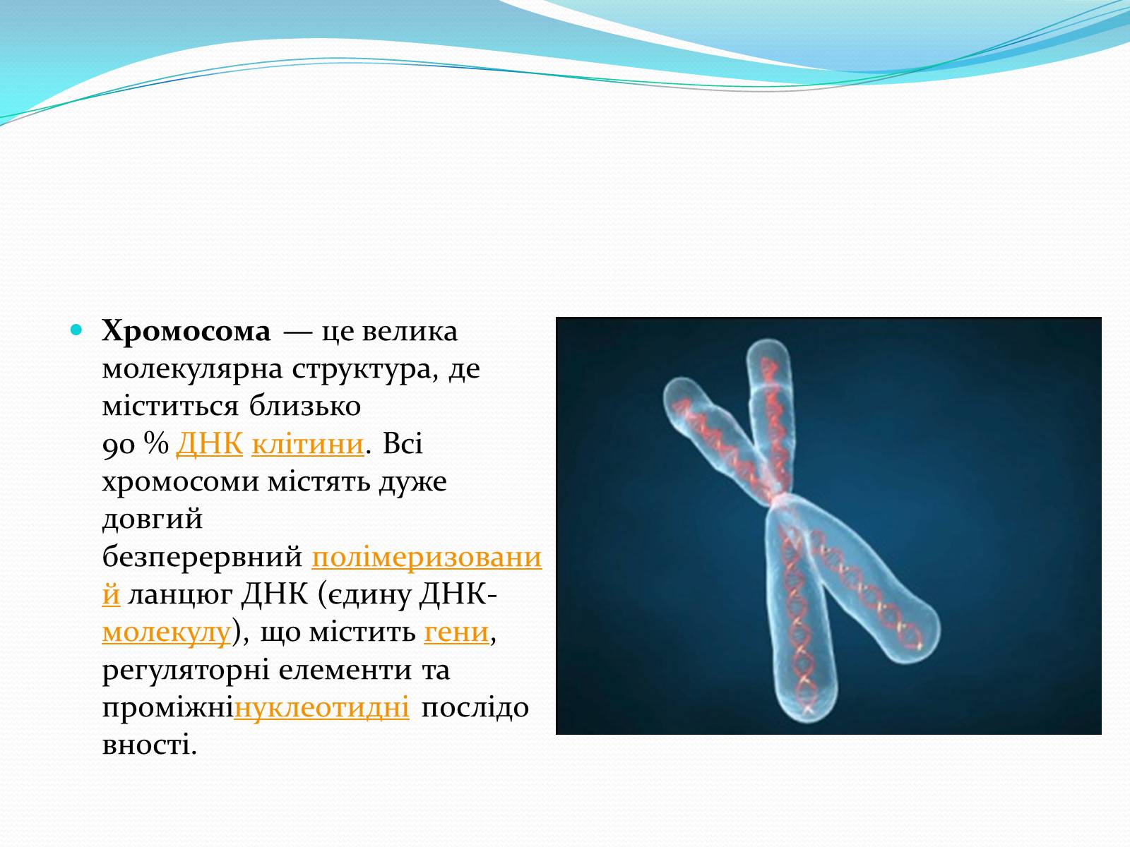 Все хромосомы кроме половых. Хромосомы картинки для презентации. 7 Хромосома. Чочко хромосома саны.