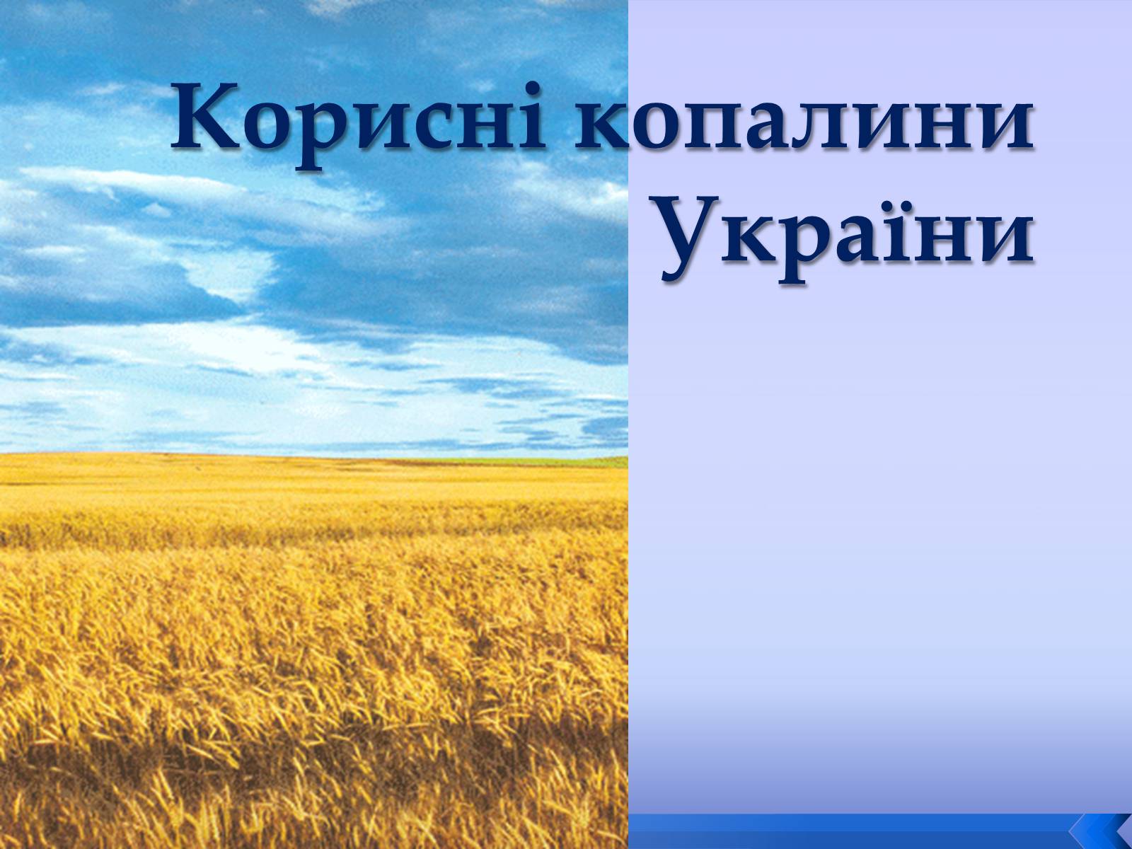 Презентація на тему «Корисні копалини України» (варіант 1)