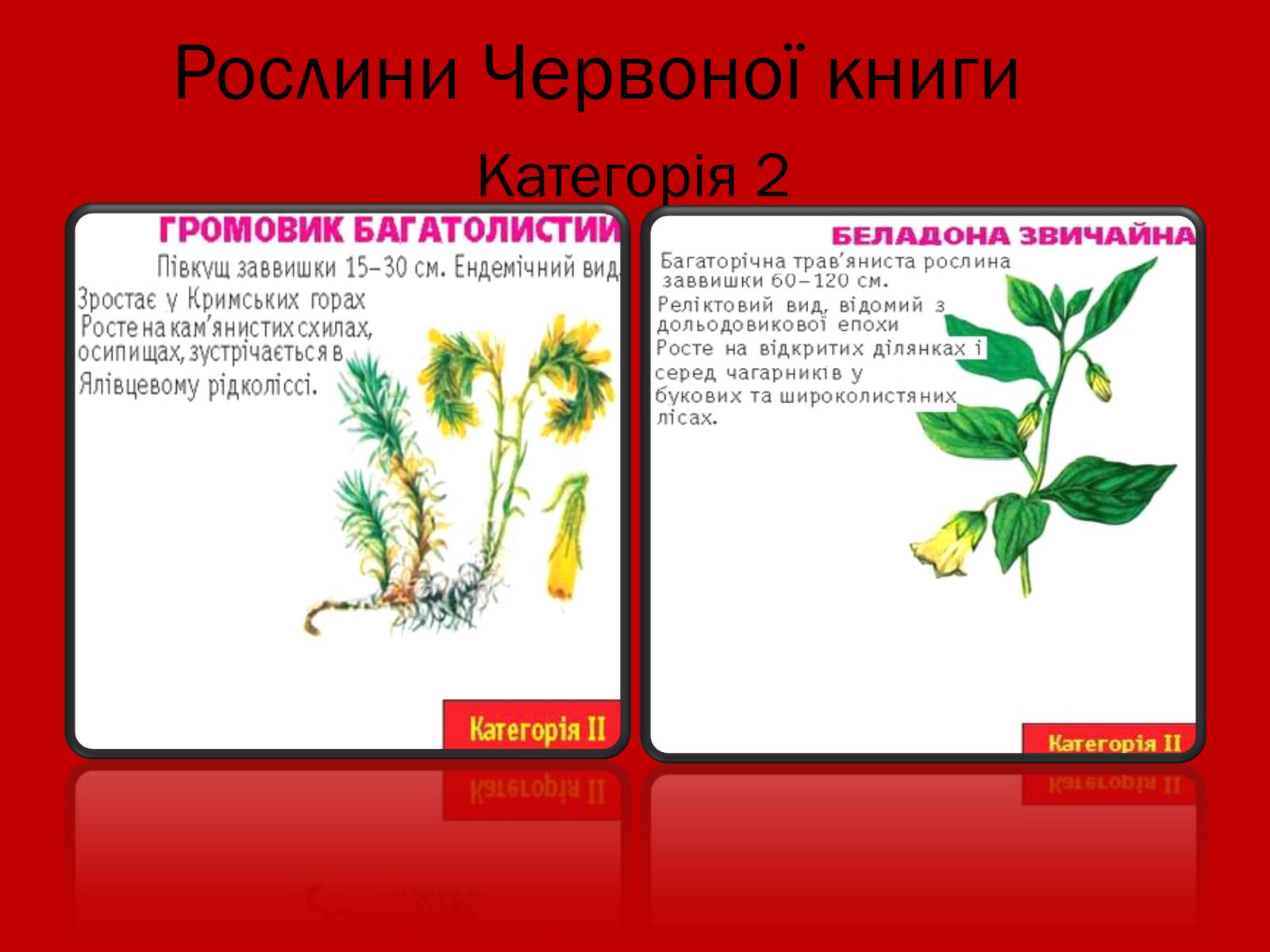 Презентація на тему «Тваринний і рослинний світ Червоної книги» - Слайд #10