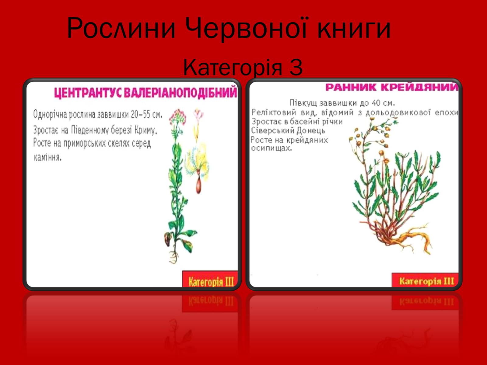 Презентація на тему «Тваринний і рослинний світ Червоної книги» - Слайд #11