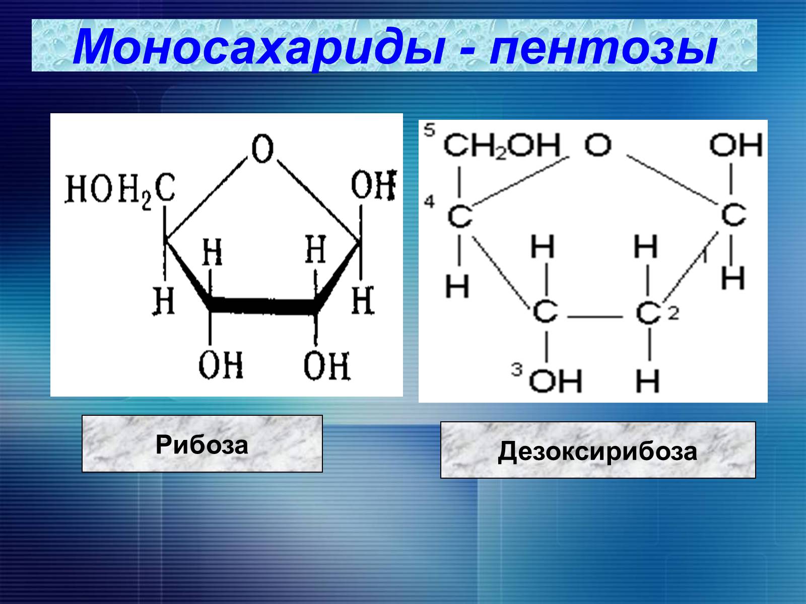 Рибоза класс соединений. Рибоза и дезоксирибоза формулы. Дезоксирибоза циклическая формула. Моносахариды пентозы формула. Пентоза рибоза.